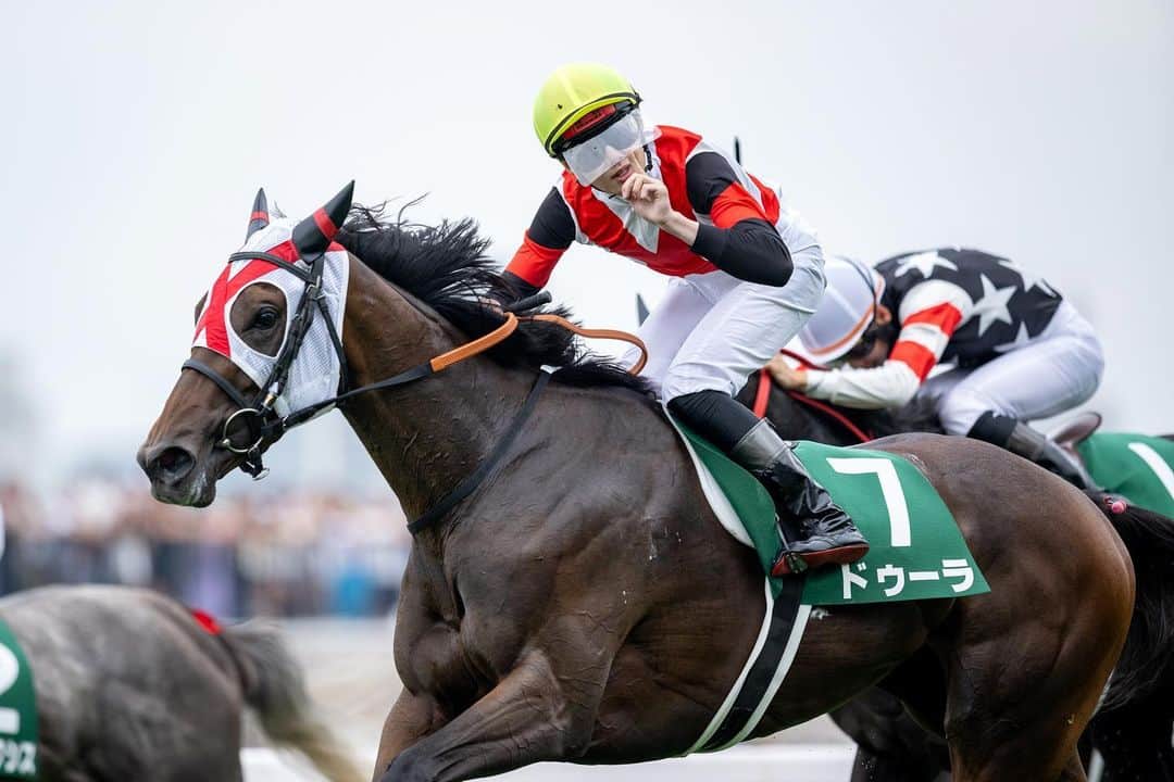 netkeibaのグルメインスタ