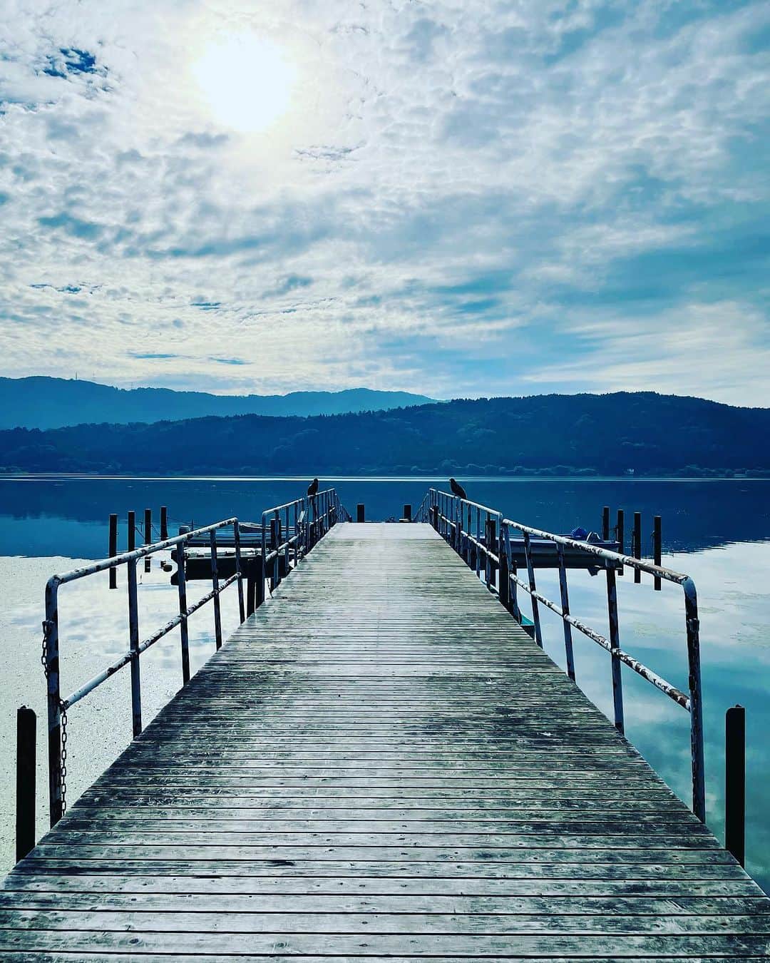 真藤舞衣子のグルメインスタ