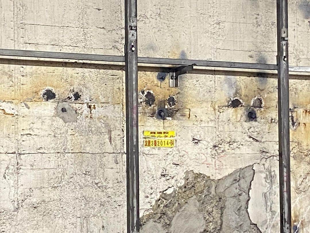 黒川忠文のインスタグラム：「京阪淀屋橋駅の壁面に犬が いっぱいいるように見える。 芝犬？ポメラニアン？」