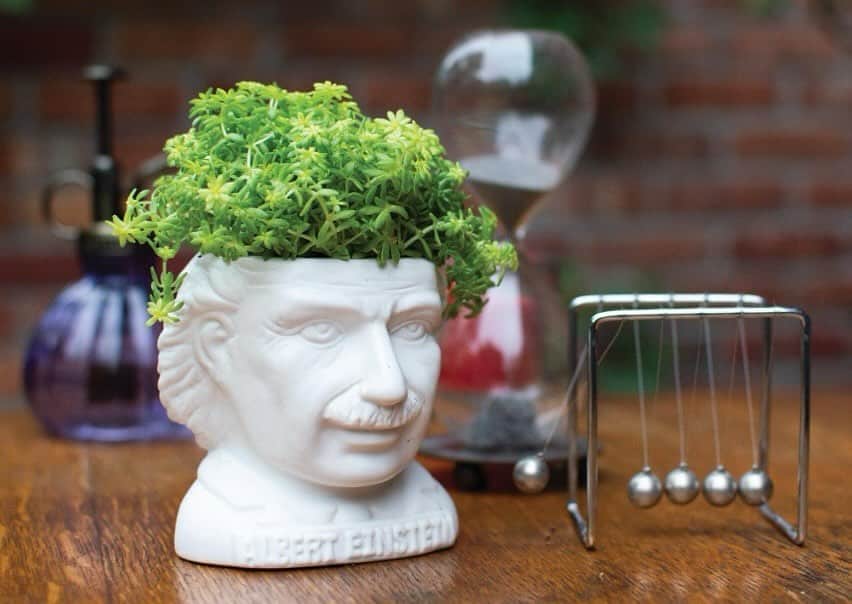 アルベルト・アインシュタインのインスタグラム：「This is what we like to call a fertile mind planter. This and other fun Einstein gifts can be yours here: https://philosophersguild.com/collections/albert-einstein-gifts」