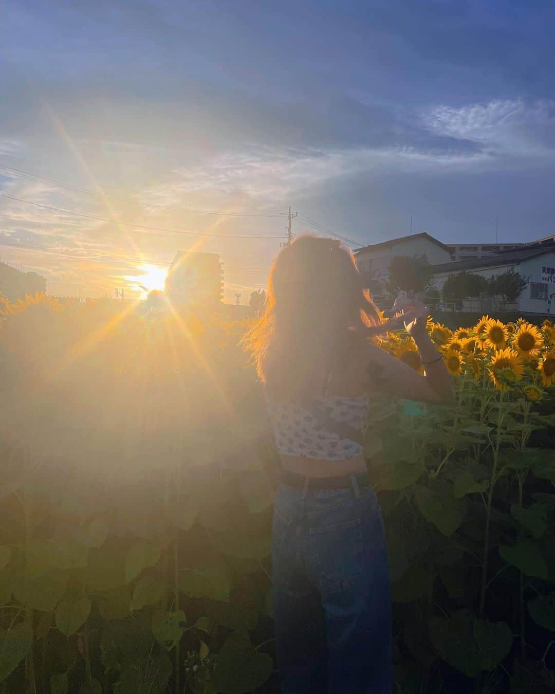 斉藤夏海さんのインスタグラム写真 - (斉藤夏海Instagram)「ありがとうひまわり🌻🌻🌻🌻🌻」7月31日 22時07分 - _natsuumikun_