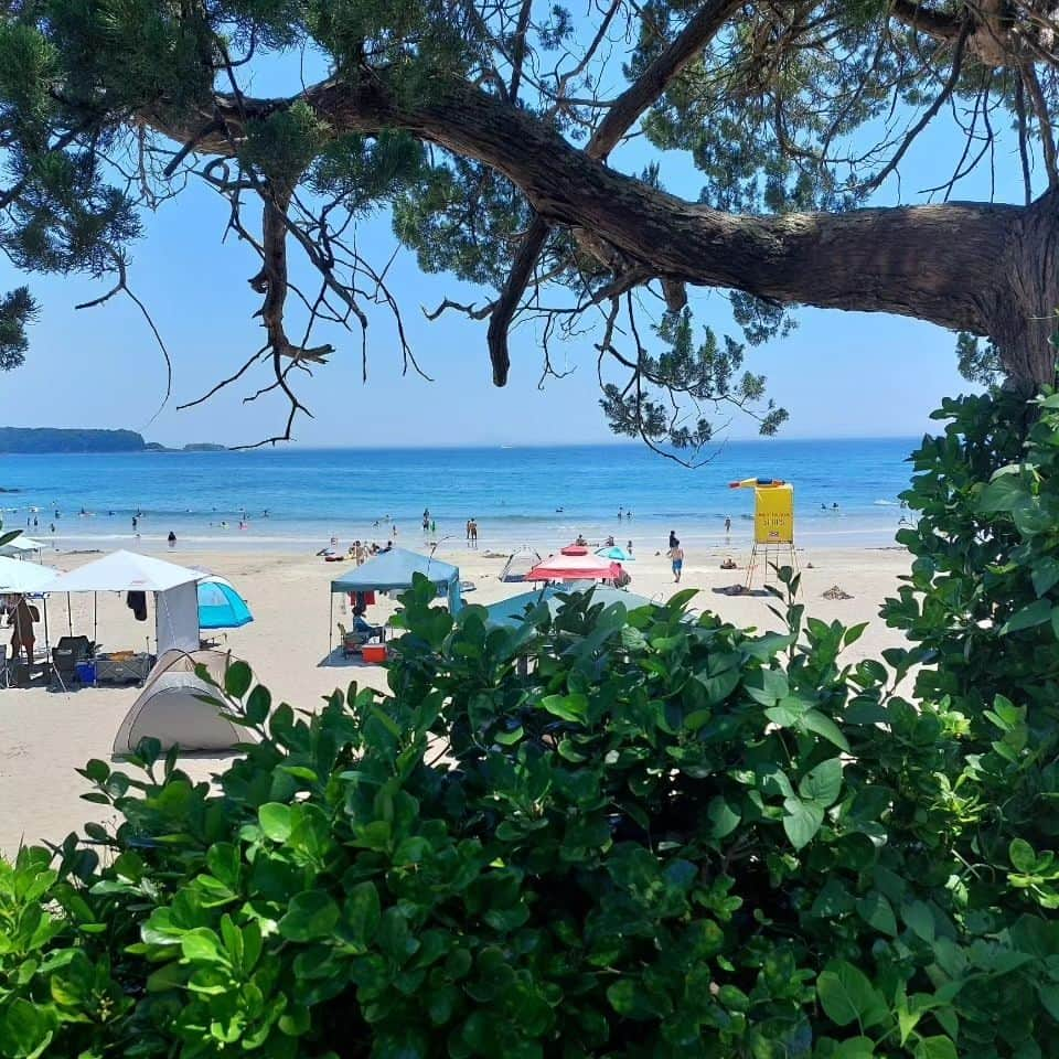 手島千尋さんのインスタグラム写真 - (手島千尋Instagram)「静岡・下田の海🌊  都心から熱海までは近いのに 下田までは遠いんですよね👜 都内から下田までは 踊り子に乗って2時間40分 熱海は新幹線で45分 同じ伊豆なのに🐚  でも、 遠いだけあって 海🌊の透明度が高くて綺麗✨  しかも、駅からビーチまで 車🚗に乗れば15分程で着きます👍️ ※渋滞なしの場合。  下田には9つのビーチがありますが ビーチ⛱️それぞれ雰囲気が違うから より楽しい💃✨✨  時間に余裕れば🌊おすすめです✨  夏🌞の海のススメ。  #夏　#海　#伊豆」7月31日 22時32分 - teshimachihiro0139