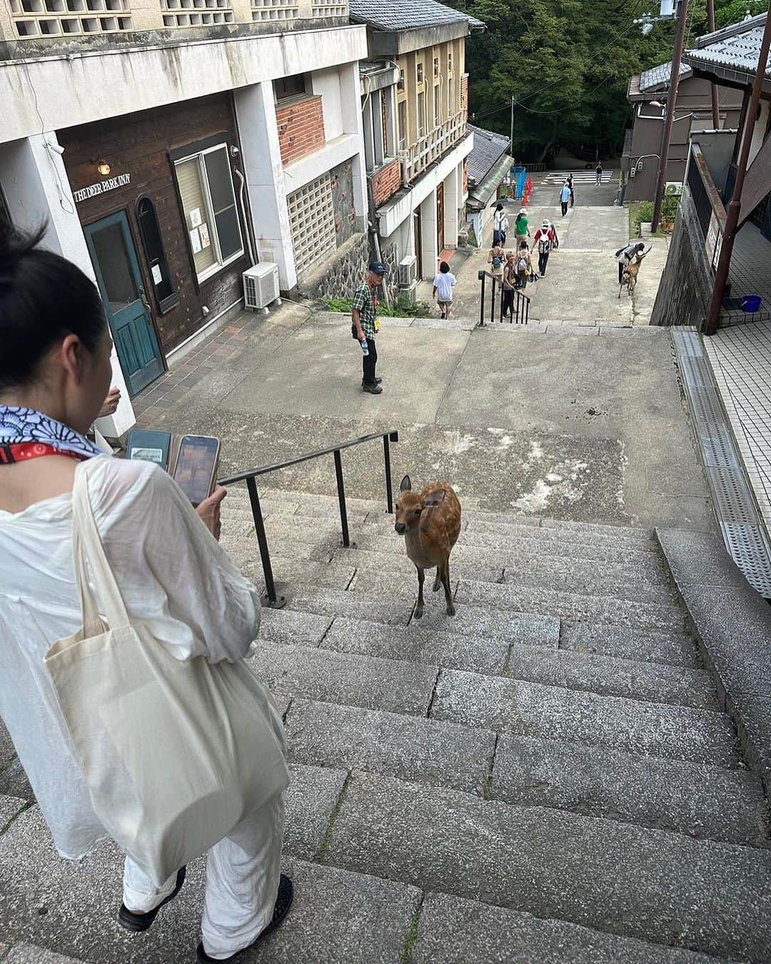 安藤モモ子のインスタグラム：「しかしかしかと🦌  暑い熱いなら🙏  #なら国際映画祭」