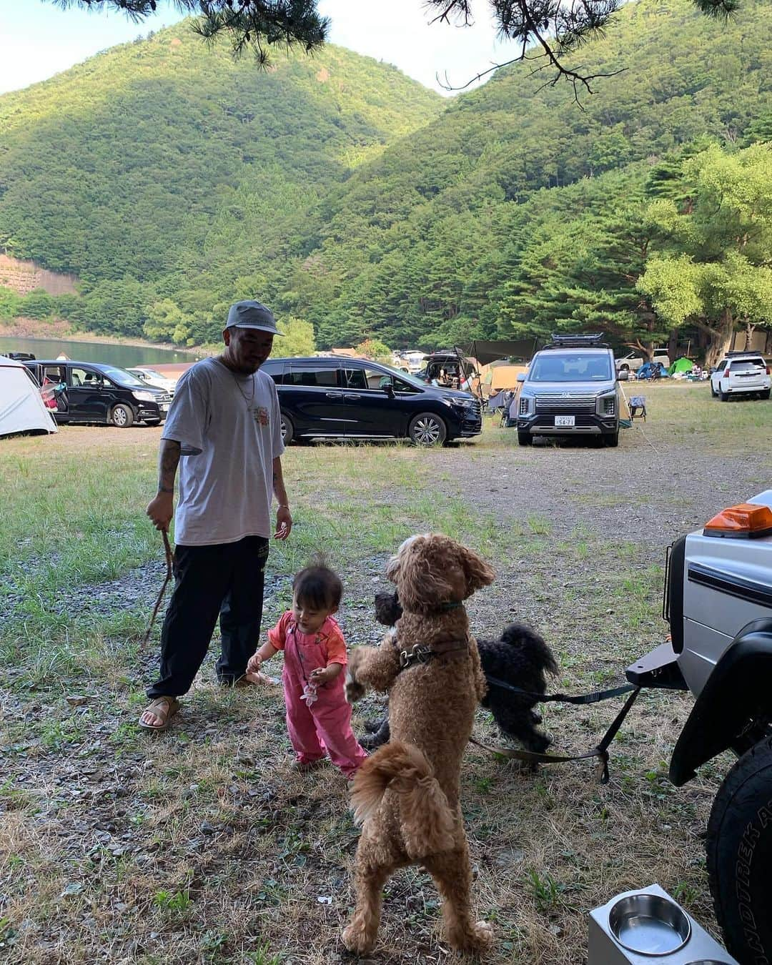 ANNA さんのインスタグラム写真 - (ANNA Instagram)「犬&子連れキャンプ🏕️ 道具は極力少なめに、ご飯は極力簡単に。 それでも子供と犬達を楽しませるために休みなくスタッフとして働いている感じ😂 本当に疲れるから行かないとギリギリまでパパに言っていたけど...w サップしてる時間と、子供の寝ている時間は、家の中で過ごしていては感じられないご褒美クラスの開放感✨  そしてみんなが楽しそうにしている顔を見ると結局来て良かったなって思える😮‍💨  パパと自由気ままにキャンプしてた頃は楽しかったけど、これはこれで良し😌🏕️  #ファミキャン #1歳女の子ママ #犬連れキャンプ #子連れキャンプ #本栖湖 #lakecamping #familycamping」7月31日 22時43分 - anna_flare