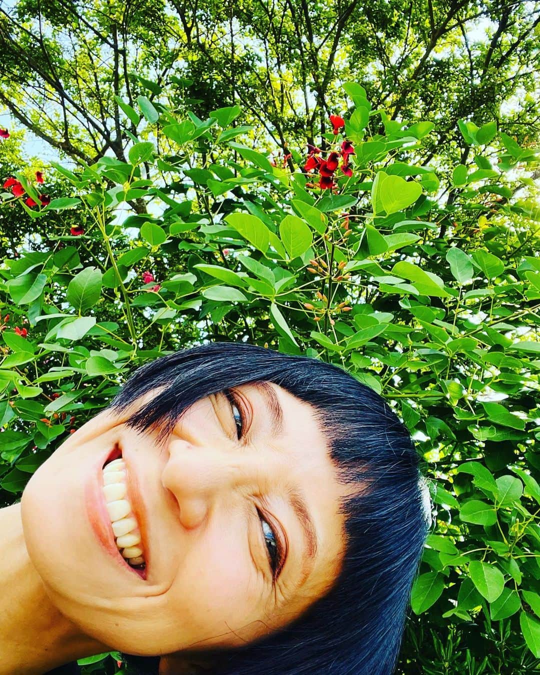 奥井亜紀のインスタグラム：「7月楽しかったなー ライブもあったしなー  マイクは🎤さー バトンみたいだな。 私のよろこびを誰かに受け取ってもらうための。  次回は11月25日土曜日 年に一度のバンドライブ！」
