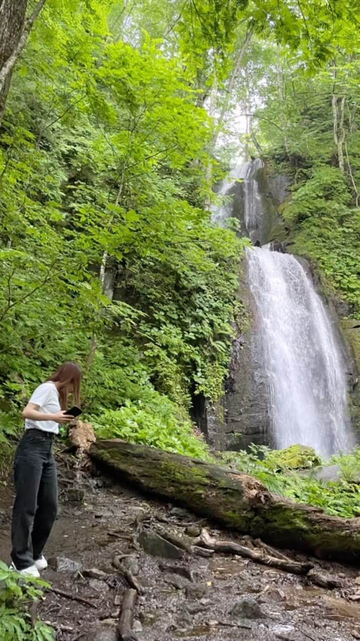 伊藤美紀のインスタグラム：「‎🎐 奥入瀬渓流️🫧🍃 雨ちょっと降ってたから晴れてる日に行ったら絶対もっと綺麗☺️   #十和田湖  #奥入瀬渓流  #青森県  #こけソフト  #あらりんご  #🍎 #🍕」