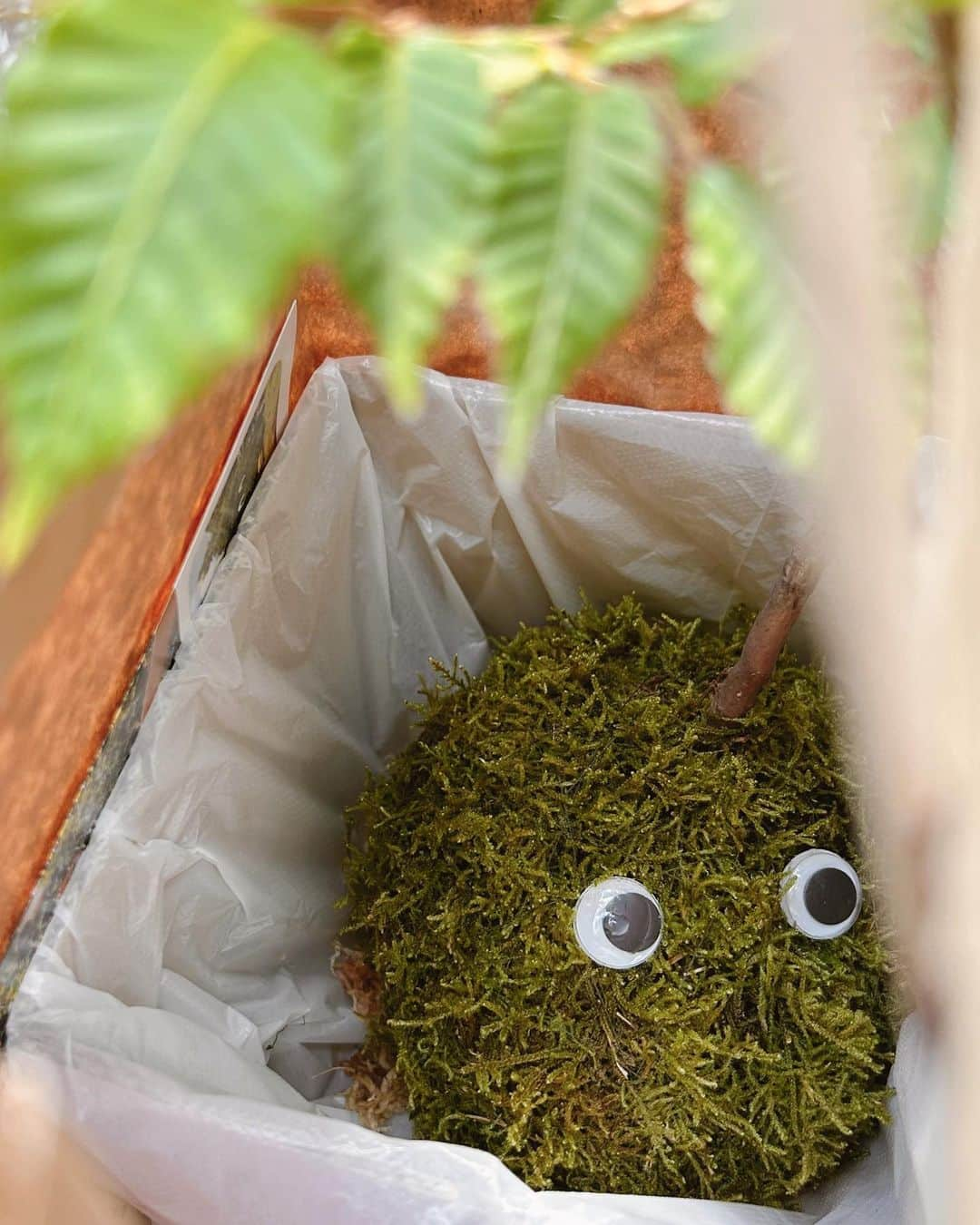 海帆のインスタグラム：「青森楽しかったーーー！🚲  可愛いコケっち🌱 素敵な自然やアート、フードに触れることができて幸せ噛み締めた。  ・  ・  📸スタンディング・ウーマン by ロン・ミュエク  世界観。吸い込まれていく！  📍#十和田市現代美術館  #青森」