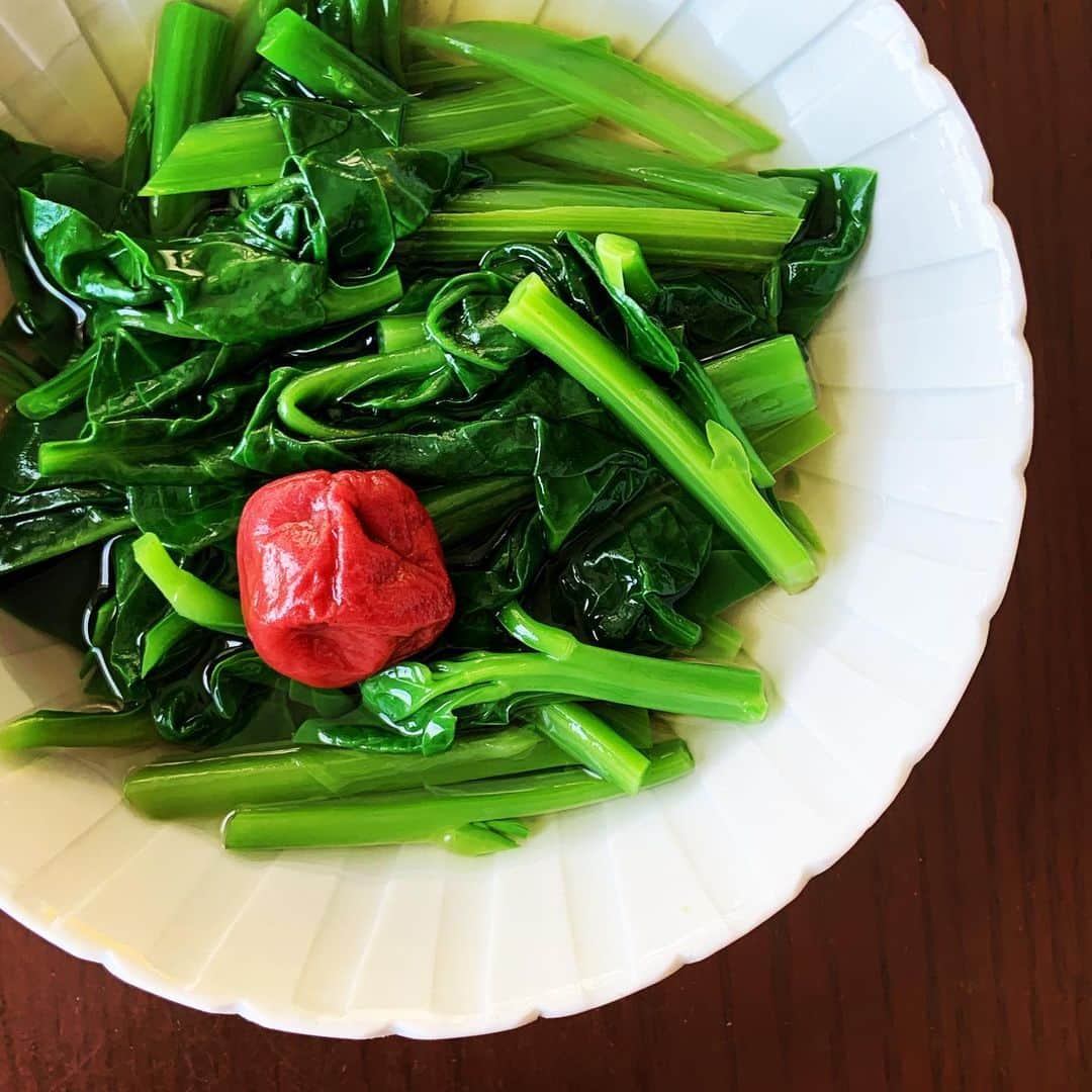 志摩有子さんのインスタグラム写真 - (志摩有子Instagram)「ぬるぬる食感のつるむらさきを冷たい梅浸しに。シャキッと感も残したいから茹ですぎないように気をつけて。太い部分と葉っぱは時間差で。茹でた後は氷水にとれば鮮やかな緑に仕上がる。  #つるむらさき #つるむらさきのおひたし  #梅びたし #副菜の鬼」7月31日 23時07分 - ariko418