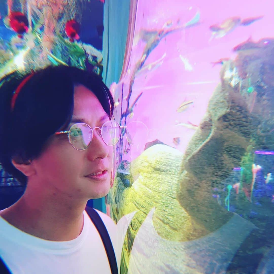 越中睦士さんのインスタグラム写真 - (越中睦士Instagram)「お休み💤  #underwaterspace」7月31日 23時18分 - makotokoshinaka