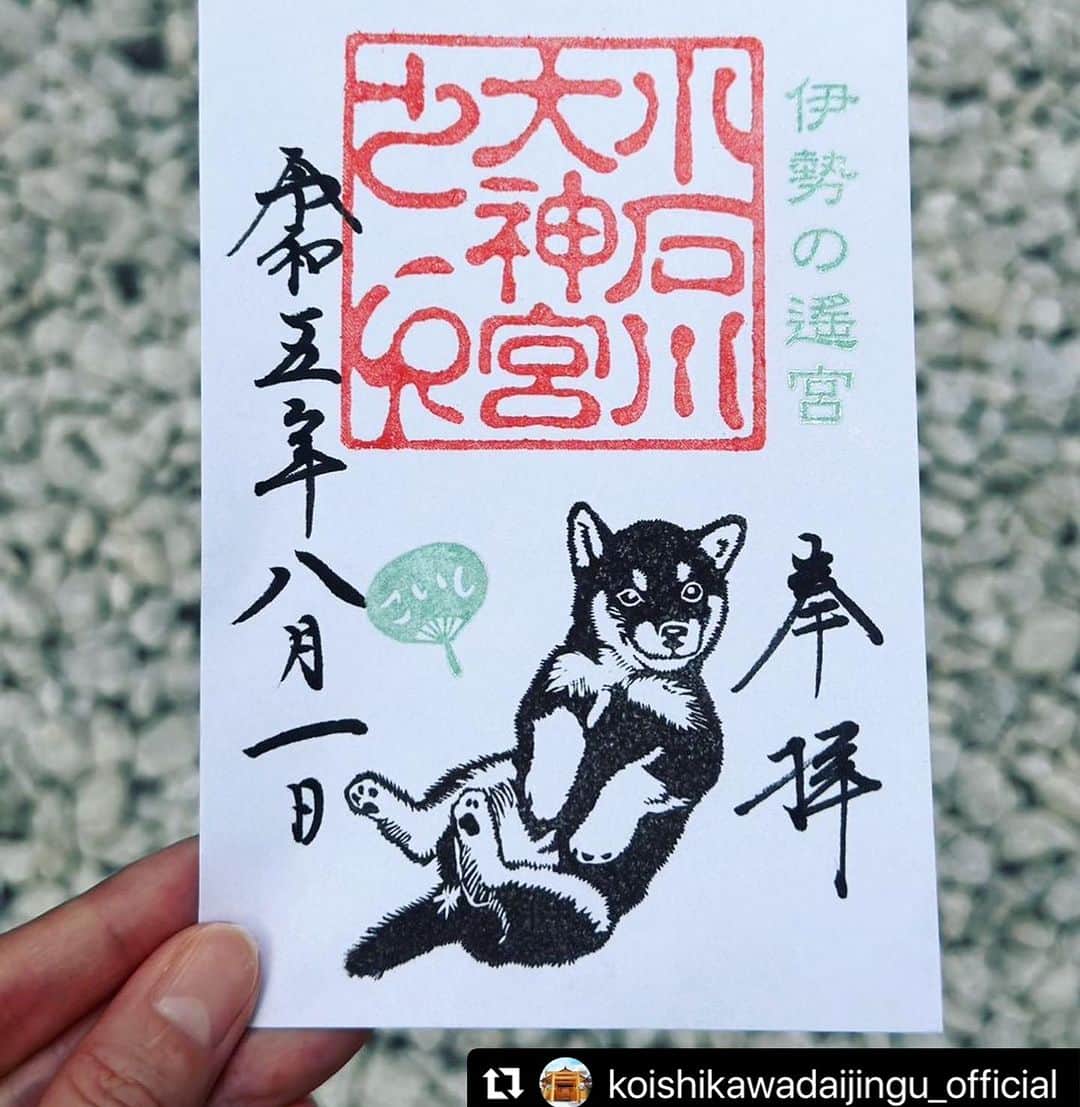 津久井智子のインスタグラム：「8月頒布のコイシちゃん😚 #小石川大神宮  #コイシちゃん  @koishikawadaijingu_official   #Repost @koishikawadaijingu_official with @use.repost ・・・ 🌿 こんにちは、小石川大神宮です。  8月1日(火)より頒布いたします 看板犬こいし(黒豆柴)の御朱印のご案内です。  こいしの出勤日はInstagram @koishi_mofumofuのストーリーズで 更新しておりますので ご参拝のご参考になれば幸いです。  熱中症対策をし、お気をつけてご参拝ください🙇🏻  #8月御朱印 #小石川大神宮 #小石川大神宮御朱印」