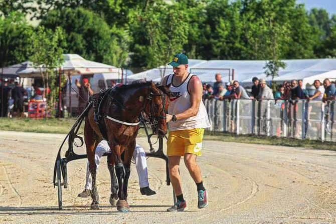 ニコラ・ヨキッチのインスタグラム：「Nikola Jokic’s top horse Amy Del Duomo’s resume: - Last 5 races: 1st, 1st, 2nd, 1st, 2nd - Career: 33 starts, 18 wins - Total earnings (EUR): € 64,683  Source: HarrisonWind/Twitter . . . #jokic #jokicnikola #joker #nikola #nikolajokic #denver #nuggets #denvernuggets #colorado #nba #basketball #serbia #usa #srbija #sombor #belgrade #beograd #mvp」