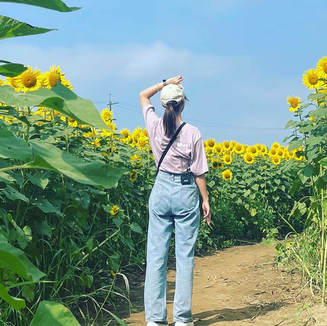 木村那津美のインスタグラム：「🌻 山口県の夏  夏の曲と言えば？」