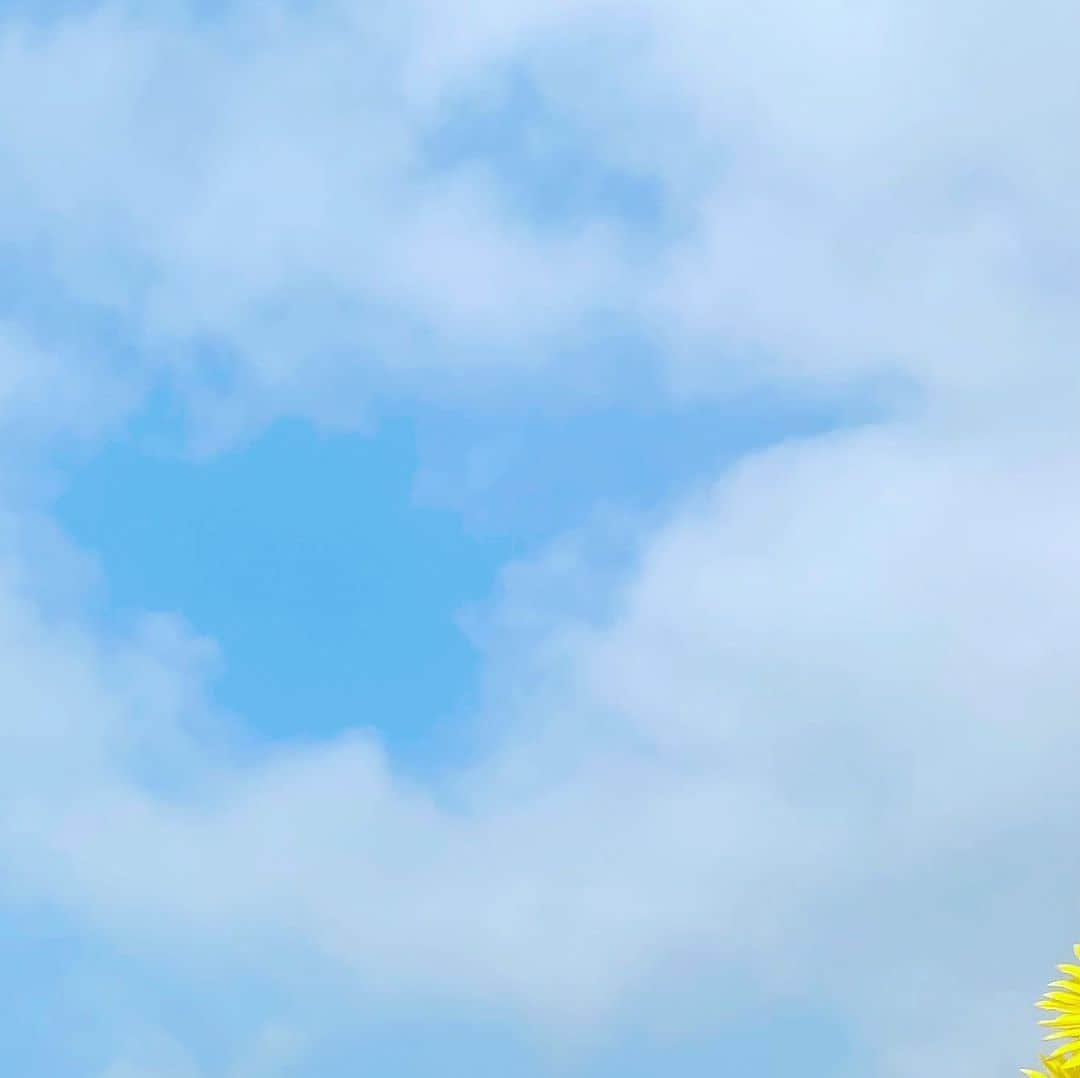 木村那津美のインスタグラム：「山口県の夏」