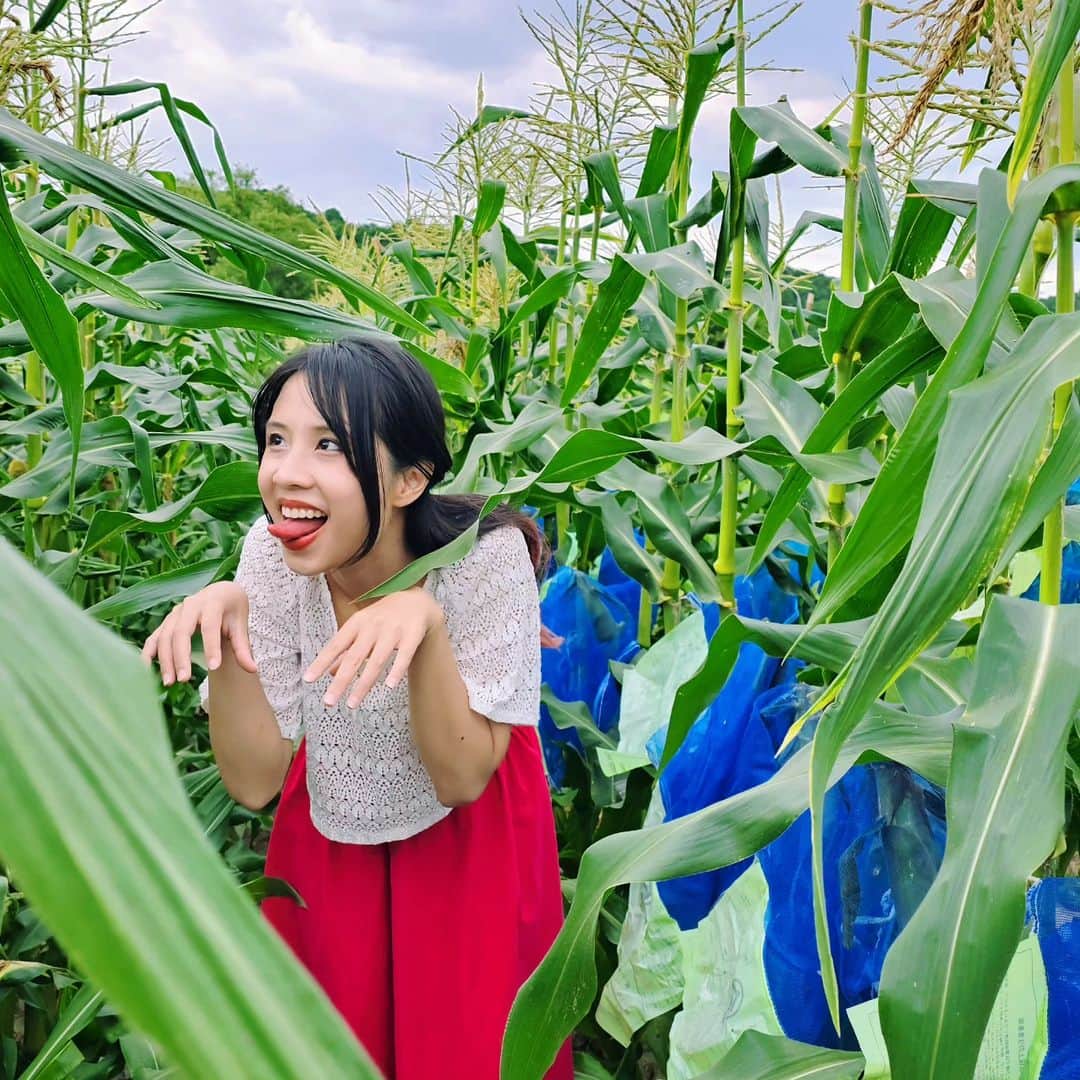 ビーム先生のインスタグラム：「ฝันดีฝันถึงบีม  ผีข้าวโพด 🌽 私の夢を見て❣  #beamsensei #บีมและญี่ปุ่น」