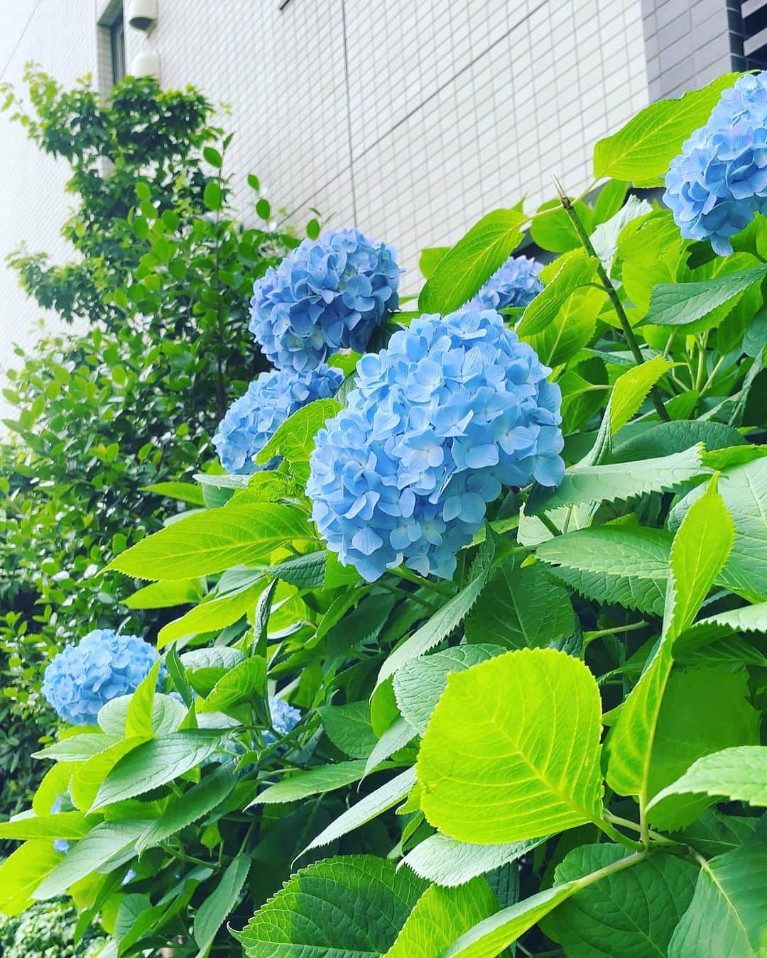 村主章枝のインスタグラム