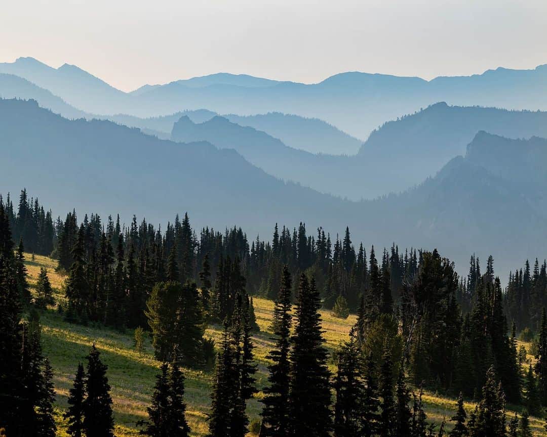National Geographic Travelさんのインスタグラム写真 - (National Geographic TravelInstagram)「Photo @stephen_matera | The subalpine ridges of the central Cascade Mountains in summer. Hazy mountain views are a common sight on long summer days in the Pacific Northwest.   Follow me @stephen_matera for more images like this from Washington and around the world.」8月1日 1時58分 - natgeotravel