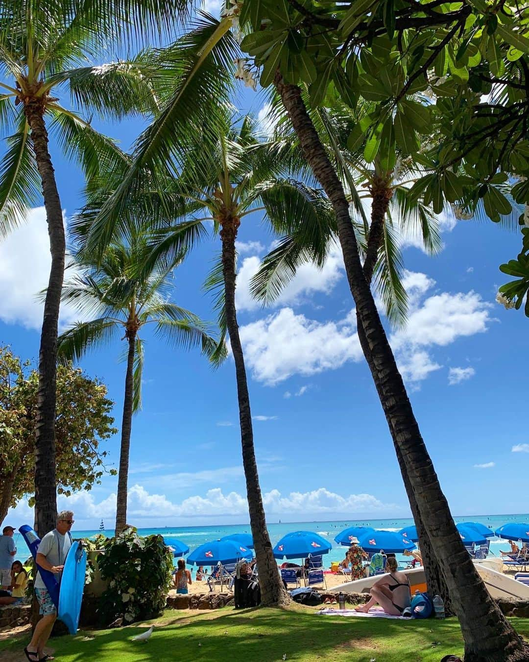 ayu kagawaのインスタグラム：「summer vacation🌺⛱️  家族で久しぶりのハワイに来ています。 恋しかったこの景色🥹🩵 景色も空気も気候も全てに癒される🫠🌺  今回も👨🏼‍🦳👵🏻姉family @dr.aya_tamago も一緒に大騒ぎ旅行🤙 #summervacation #hawaii」