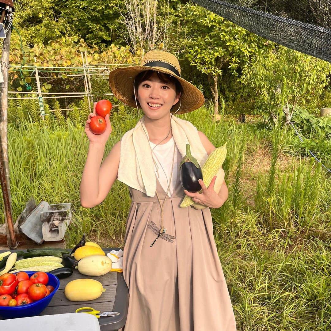 田名部生来さんのインスタグラム写真 - (田名部生来Instagram)「. 田舎に感謝。 人様の家に実家間隔でいくし 野菜泥棒するのはやめない。  オニヤンマ君 守ってくれてありがとう」8月1日 13時25分 - mnkspnpn