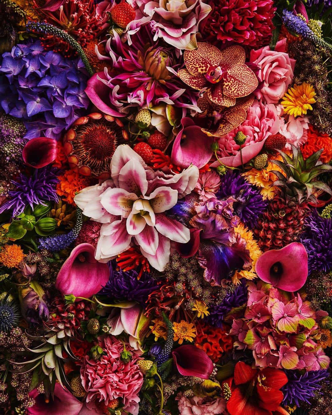 東信さんのインスタグラム写真 - (東信Instagram)「2023Flowers #amkk #amkkproject #makotoazuma #azumamakoto #東信花樹研究所 #東信 #jardinsdesfleurs #shiinokishunsuke #flowerart #flower #flowers #2023」8月1日 5時47分 - azumamakoto