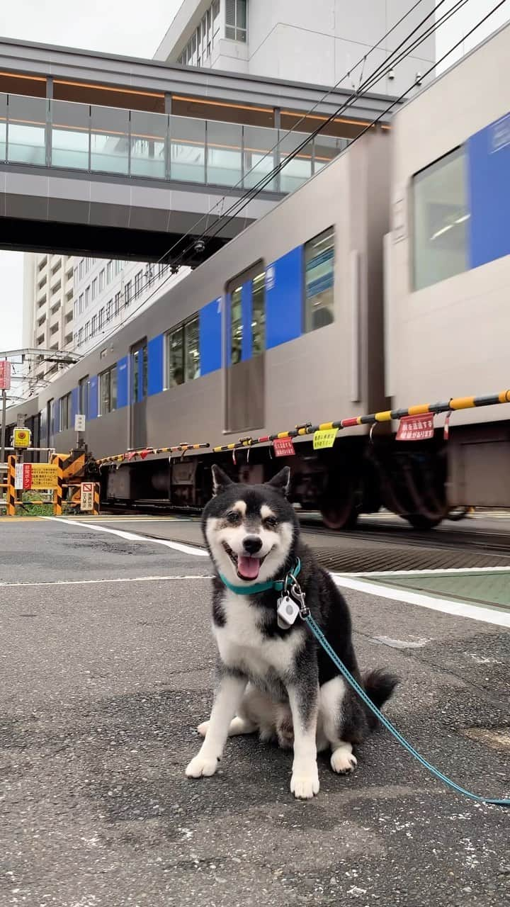 くろのインスタグラム