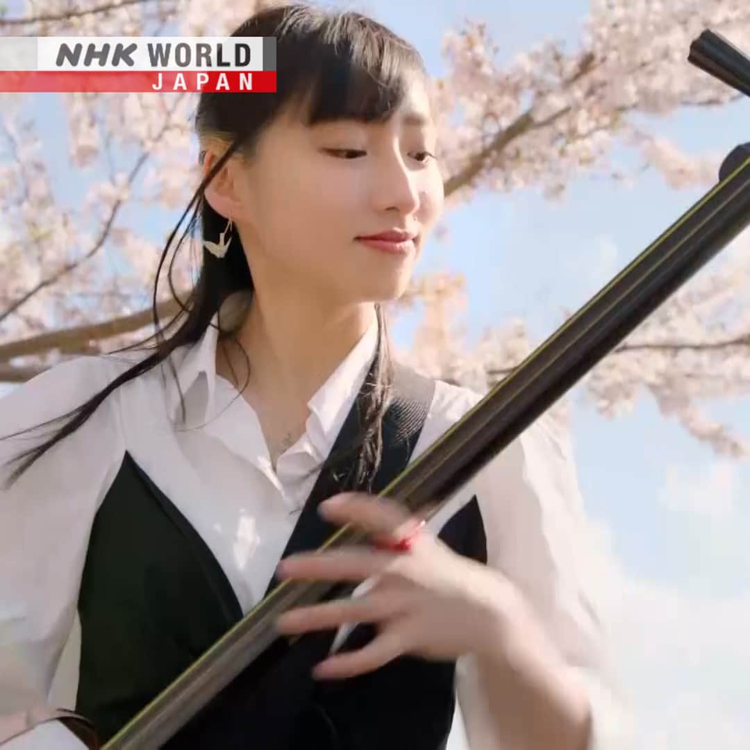 NHK「WORLD-JAPAN」さんのインスタグラム写真 - (NHK「WORLD-JAPAN」Instagram)「Komada Sayo plays shamisen in the distinctive Tsugaru style.🌸🎶👘The genre dates back to the 19th century when sight-impaired players performed door-to-door in the Tsugaru region of Aomori Prefecture. Some say its percussive playing style was needed to reach people’s ears over the harsh wind and blowing snow.🌬️🌨️ . 👉 Discover more about this compelling music｜Watch｜A Four Movement Sonata: Tsugaru Shamisen｜Free On Demand｜NHK WORLD-JAPAN website.👀 . 👉Follow the link in our bio for more on the latest from Japan. . 👉If we’re on your Favorites list you won’t miss a post. . . #駒田早代 #tsugarushamisen #津軽三味線 #つがるしゃみせん #shamisen #三味線 #japaneseinstrument #stringedinstrument #traditionaljapanesemusic #japanesemusic #japanesesong #traditionalmusic #tsugaru #aomori #japan #nhkworldjapan」8月2日 6時00分 - nhkworldjapan