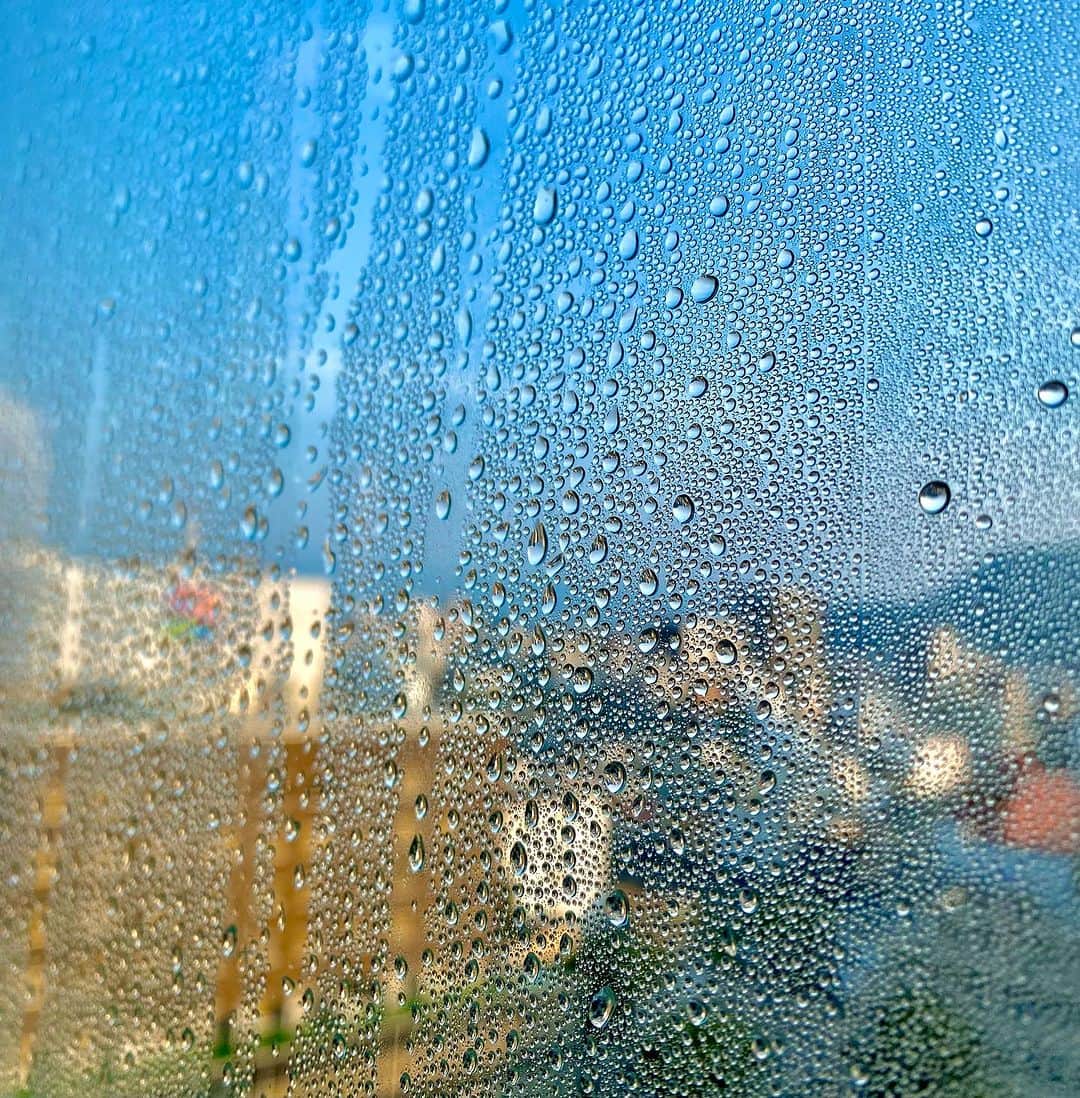 鎧塚俊彦さんのインスタグラム写真 - (鎧塚俊彦Instagram)「7月30日5時29分晴天の福島の写真。 東京ではこの時期見ない光景です。 福島でも前日は38度を超える記録的な暑さ。ところが早朝に窓の外がこんなに結露しているのは未明に冷え込んだ証拠です（窓の密閉率が高い事もあります）。 そしてこの後、また気温がグングン上昇していき結露はあっと言う間に無くなり日中は37.9度まで上がりました。 桃は気温が高いほと甘みが増します。そしてもう一つ大切なのはこの寒暖差。 福島のこの気候、そして農家の皆さんの勤勉さと気持ち。 福島の桃が美味しい理由が行くと解ります😊⤴️。 福島県桑折町で摘んだ桃が届くのが待ち遠しいです🎵。 今日は幾分暑さが和らぎましたね😊。 ここのところハードが日々が続きましたので私自身も少しクールダウンして和らぎます＼(^o^)／。 #toshiyoroizuka #鎧塚俊彦　#トシヨロイヅカ　#桃 #福島　#桑折町」8月1日 8時28分 - toshiyoroizuka