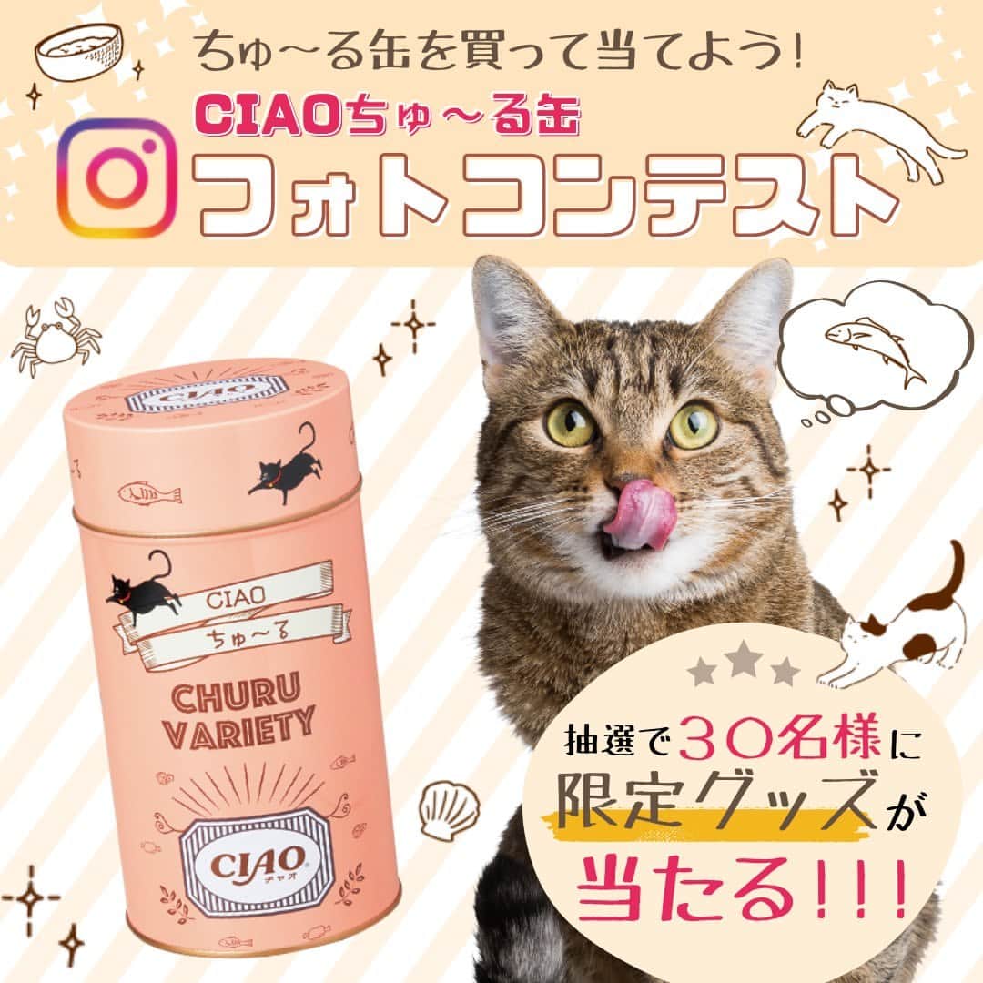 デイジーラボさんのインスタグラム写真 - (デイジーラボInstagram)「. 【オリジナルCIAOちゅ～る缶新発売記念！フォトコンテスト 📷】  猫ちゃんに大人気のCIAOちゅ～るのかわいいオリジナル缶にサーモンピンクが新発売🐈♡ アピタ・ピアゴ公式Instagramではオリジナルちゅ～る缶新発売記念！キャンペーンを開催中✨  応募方法は簡単！ ■参加方法 ①アピタ・ピアゴ公式 apita.piagoアカウントをフォロー ②オリジナル缶を購入後、ペットの猫ちゃんとオリジナル缶が一緒に写った写真を「@apita.piago」のメンションと「 #アピタピアゴオリジナル缶 」のハッシュタグをつけて投稿で完了！ 投稿いただいた方の中から30名様に「ノベルティ3点とCIAOおやつ5点セット」をプレゼント🎁 たくさんのご応募お待ちしています♪  ■応募期間 2023/8/1(火)～ 2023/8/31(木)23:59 ■注意事項 ※アカウントを公開にしてご応募ください。 ※当選者の方には 2023 年 9 月7日(木)までに DM にてご連絡しますのでフォローは外さないようお願いします。 ※当選のご連絡までにフォローを外された場合、当選は無効となります。 ※発送対象は日本国内のみ、対応はすべて日本語のみとなりますので、予めご了承 ください。 ※アピタ・ピアゴオンラインショップでのCIAOちゅ～る缶の販売は 8/2(水)からとなります。 ※ご応募頂いた投稿については、弊社HPに掲載をさせて頂く場合がございます。  【下記店舗では販売がございません 】 ●アピタパワー 新守山 ●ピアゴ 蟹江・味鋺・清洲・大治・瑞浪・川辺・西春・黒笹 ●ピアゴパワー 長久手 ●ピアゴラ フーズコア 今池・赤池・徳重・神野・正保・三河安城・半田清城・柴田・黒川 ●ユーストア 萱場・金沢ベイ  #ciaoちゅーる #ちゅーる#ペットのいる生活　#猫のいる暮らし　#猫がいる生活　#ねこすたぐらむ　#猫 　#猫好き　#猫グッズ 　#猫好きさんと繋がりたい　#アピタ　#ピアゴ #プレゼント企画 #プレゼントキャンペーン #ペット #フォトコンテスト」8月1日 9時00分 - apita.piago