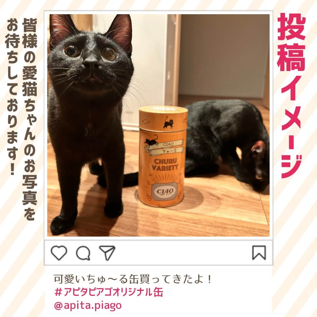 デイジーラボさんのインスタグラム写真 - (デイジーラボInstagram)「. 【オリジナルCIAOちゅ～る缶新発売記念！フォトコンテスト 📷】  猫ちゃんに大人気のCIAOちゅ～るのかわいいオリジナル缶にサーモンピンクが新発売🐈♡ アピタ・ピアゴ公式Instagramではオリジナルちゅ～る缶新発売記念！キャンペーンを開催中✨  応募方法は簡単！ ■参加方法 ①アピタ・ピアゴ公式 apita.piagoアカウントをフォロー ②オリジナル缶を購入後、ペットの猫ちゃんとオリジナル缶が一緒に写った写真を「@apita.piago」のメンションと「 #アピタピアゴオリジナル缶 」のハッシュタグをつけて投稿で完了！ 投稿いただいた方の中から30名様に「ノベルティ3点とCIAOおやつ5点セット」をプレゼント🎁 たくさんのご応募お待ちしています♪  ■応募期間 2023/8/1(火)～ 2023/8/31(木)23:59 ■注意事項 ※アカウントを公開にしてご応募ください。 ※当選者の方には 2023 年 9 月7日(木)までに DM にてご連絡しますのでフォローは外さないようお願いします。 ※当選のご連絡までにフォローを外された場合、当選は無効となります。 ※発送対象は日本国内のみ、対応はすべて日本語のみとなりますので、予めご了承 ください。 ※アピタ・ピアゴオンラインショップでのCIAOちゅ～る缶の販売は 8/2(水)からとなります。 ※ご応募頂いた投稿については、弊社HPに掲載をさせて頂く場合がございます。  【下記店舗では販売がございません 】 ●アピタパワー 新守山 ●ピアゴ 蟹江・味鋺・清洲・大治・瑞浪・川辺・西春・黒笹 ●ピアゴパワー 長久手 ●ピアゴラ フーズコア 今池・赤池・徳重・神野・正保・三河安城・半田清城・柴田・黒川 ●ユーストア 萱場・金沢ベイ  #ciaoちゅーる #ちゅーる#ペットのいる生活　#猫のいる暮らし　#猫がいる生活　#ねこすたぐらむ　#猫 　#猫好き　#猫グッズ 　#猫好きさんと繋がりたい　#アピタ　#ピアゴ #プレゼント企画 #プレゼントキャンペーン #ペット #フォトコンテスト」8月1日 9時00分 - apita.piago