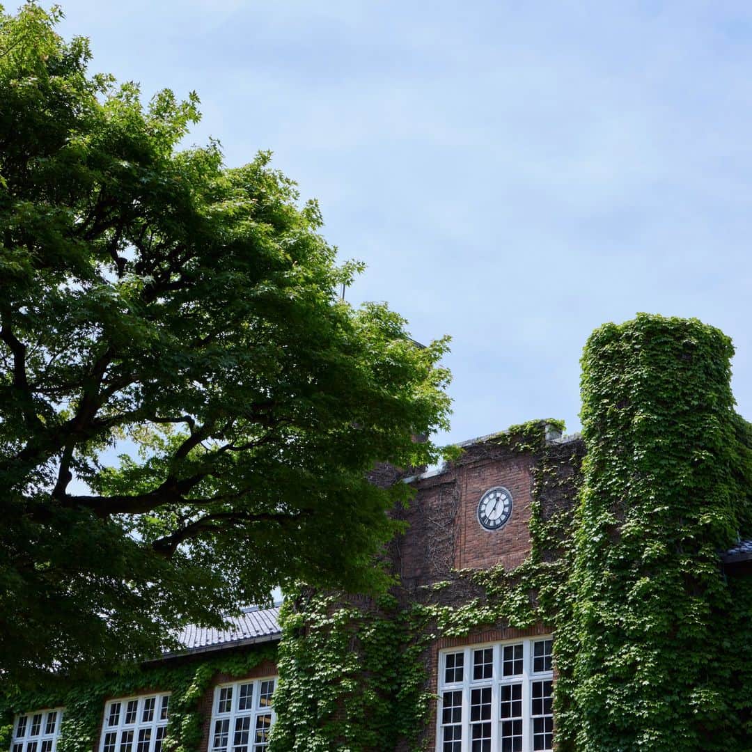 のインスタグラム：「本日より夏季休業期間ですが、立教大学はお盆期間も含めて毎日見学可能です！個人見学（自由見学）ページをご確認のうえお越しください。 https://rikkyo.ac.jp/admissions/visit/tours/visit01.html #立教 #キャンパス見学 #オープンキャンパス」