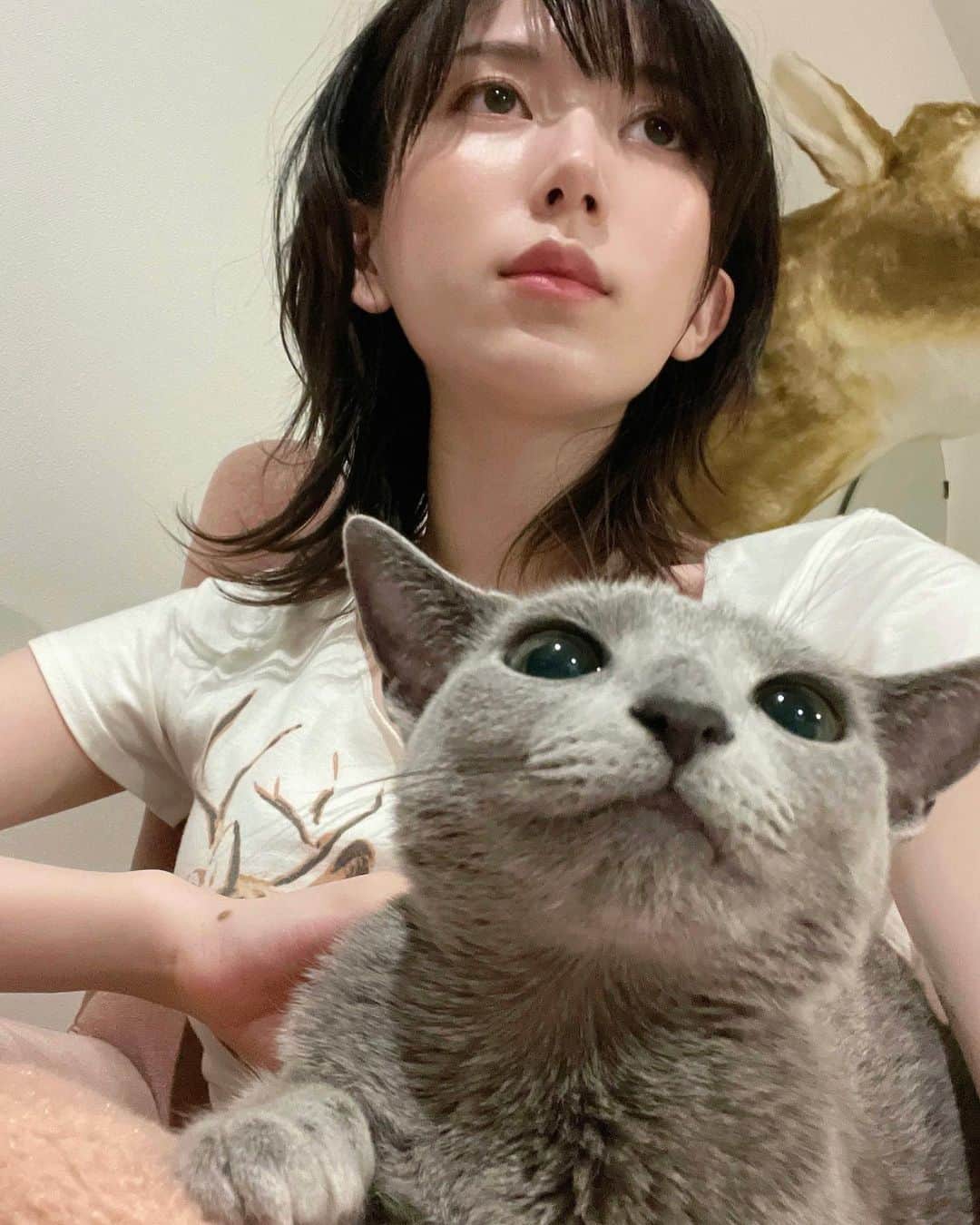 のインスタグラム：「なんごツェーショ」