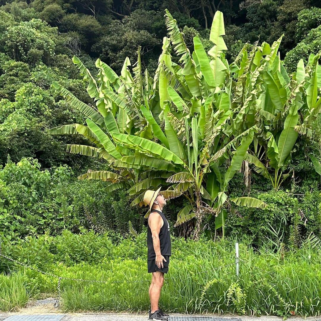 中野英雄さんのインスタグラム写真 - (中野英雄Instagram)「walkingしてます  #walking #enjoy #happy  #enjoywalking #japan」8月1日 11時48分 - hideo_nakano