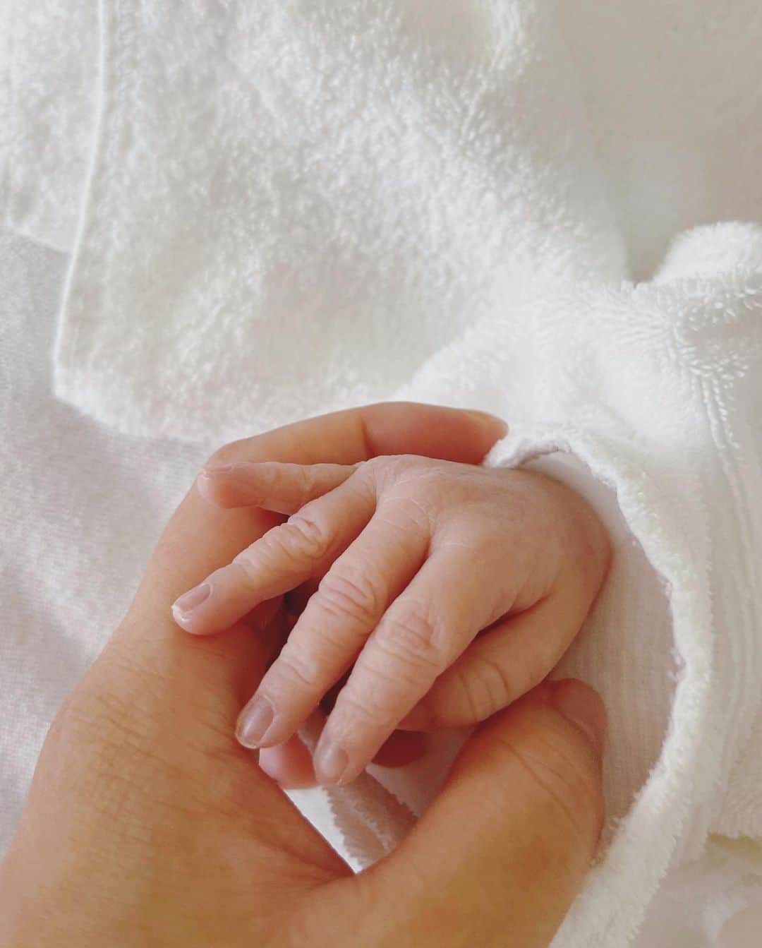 本田朋子さんのインスタグラム写真 - (本田朋子Instagram)「ご報告です。  先月、第二子となる女の子を出産しました。  産まれた瞬間に、力強い産声をあげてくれた娘。  守るべき存在がまた一人増え、身の引き締まる思いです。  お兄ちゃんやナナちゃんと元気に賑やかに過ごしていこうね！」8月1日 12時05分 - tomoko_honda_official_phonics