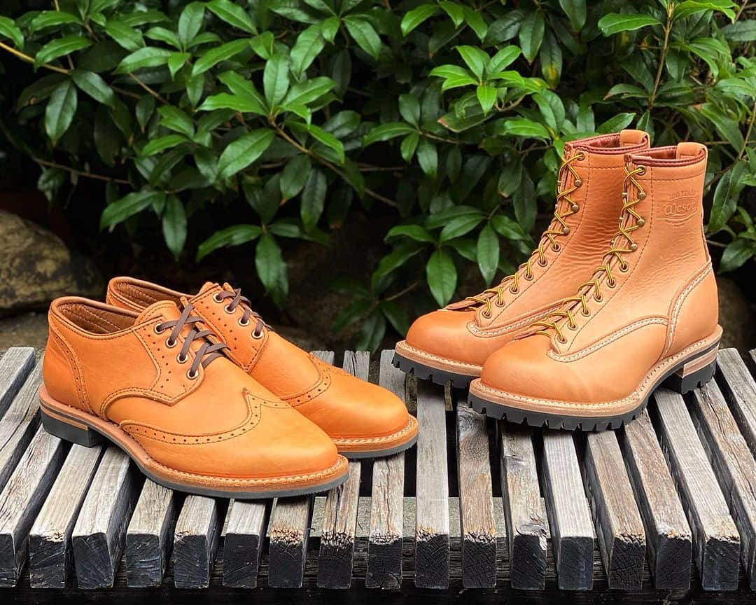 のインスタグラム：「-Horween Natural Essex Leather-  現在オーダー可能なレザーカラーの中で唯一の牛ヌメ革「ナチュラル・エセックス」 アメリカのレザータンナー「ホーウィン社」が独自の製法で鞣した、他とは違う特別なレザーです。  何が特別なのか？ ホーウィン社をご存知の方は「シェルコードバン」(馬の臀部の革)を思い浮かべるかと思います。 たっぷりとオイルを含んだシェルコードバンは、世界中の高級革製品に使用されるほど見た目の美しさや耐久性などに定評のある優れたレザーです。 そのシェルコードバンの鞣し剤を用いてホーウィン社が製作した牛ヌメ革が「ナチュラル・エセックス」なのです。 一般的なヌメ革との大きな違いは、新品からヌメ革とは思えないほど柔らかな柔軟性があることかと思います。 ウエスコが初めてナチュラル・エセックスを取り入れたのが2019年に発表された"Shoemaker Family Collection"でした。 その時試着で初めて足を通した時には「本当にヌメ革なのか??」と思うほど柔らかな履き心地に驚かされた記憶があります。 一般的なヌメ革といえばハリ、コシが強く馴染むまではギシギシと軋むような少し気合の要るレザーという印象でした。このレザーを知ると完全にその印象が払拭されました。  レザーカラーはナチュラルな無染色のため、日焼けのエイジングも愉しんでいただけます。 新品状態は薄いベージュ、肌色といった色味ですが、オイルメンテナンスしながら履き込んでいくと濃いアメ色に変化していく育て甲斐のあるレザーです。 すぐに履いていただけるストックブーツはJobmasterとRobert Williamを用意しています。 タフなワークスペックのブーツにヌメ革、ドレスのウイングチップシューズにヌメ革と、両者ともに他に無いウエスコならではのカスタム。 綺麗に育てるのもワークブーツらしく汚れを気にせずガンガン履くのもユーザー次第の楽しみ方です。 その他BossやRomeoなど他のブーツモデルでもナチュラルエセックスを取り入れたカスタムオーダーが可能です。興味を持っていただけた方は是非一度ご相談ください。  #stockboots #limitedboots #vegtan #leather #wesco #jobmaster #robertwilliam #since1918 #100YEARS #oregon #portland #scappoose #madeinUSA🇺🇸 #osaka #wescojapan #tokyo #wescoebisu #wescosetagaya」