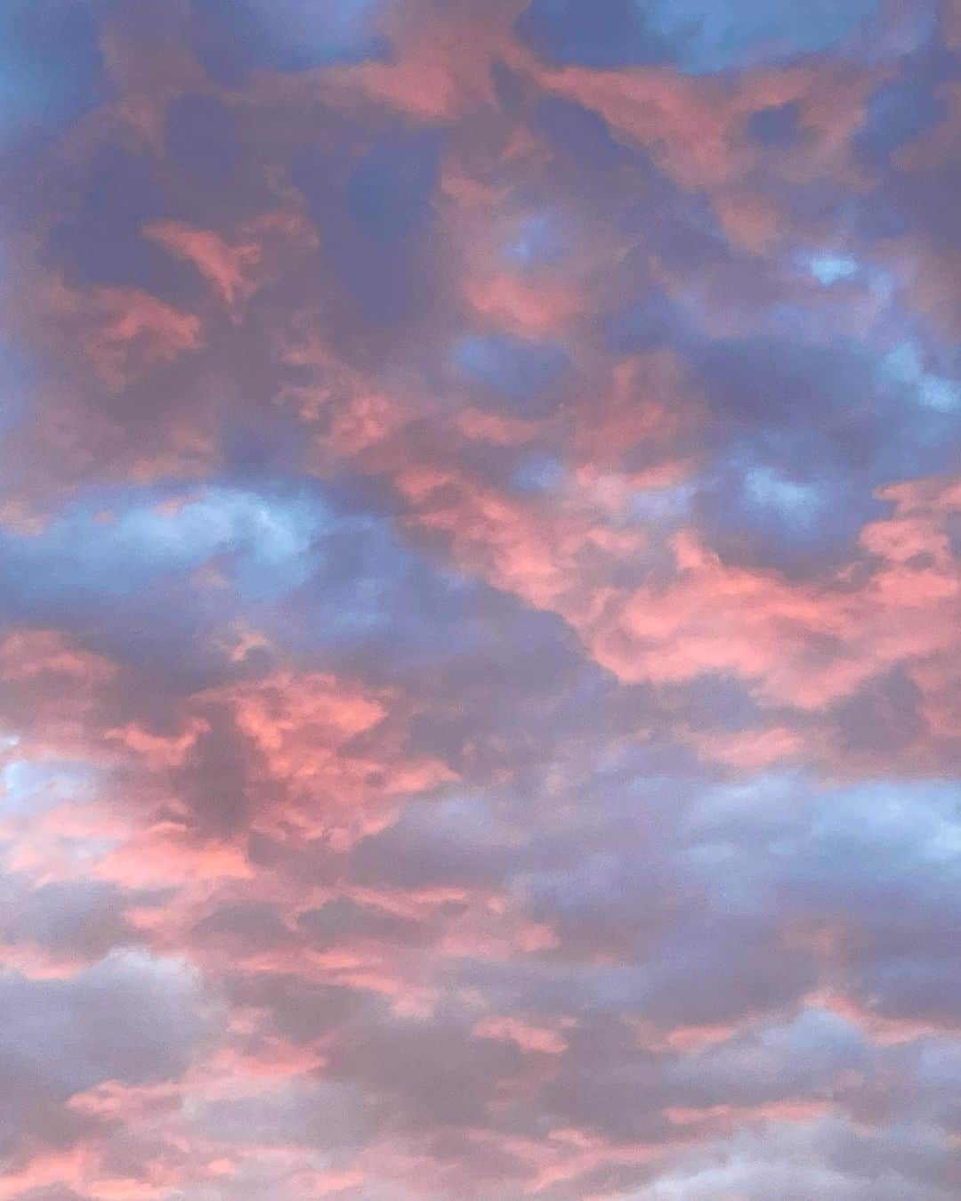 シャロン・ローレンスさんのインスタグラム写真 - (シャロン・ローレンスInstagram)「#Barbie sky in #idyllwild  with @parkerthepdoodle 💕」8月1日 12時53分 - sharonelawrence