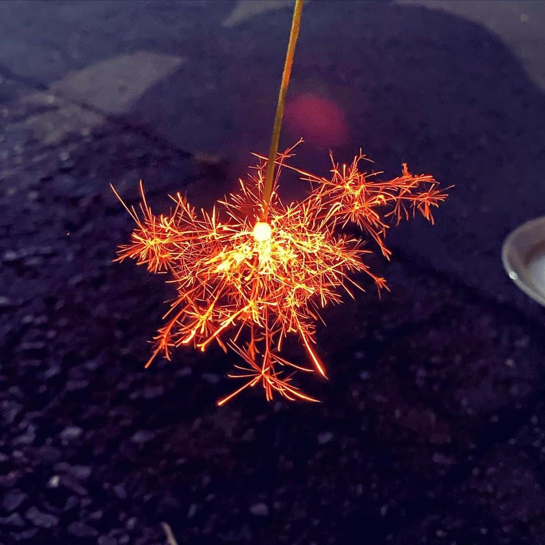 きたばのインスタグラム：「数十秒しか生きられない蝶を見つけた夏。  #線香花火   #hanabi   #sparklers   #butterfly」