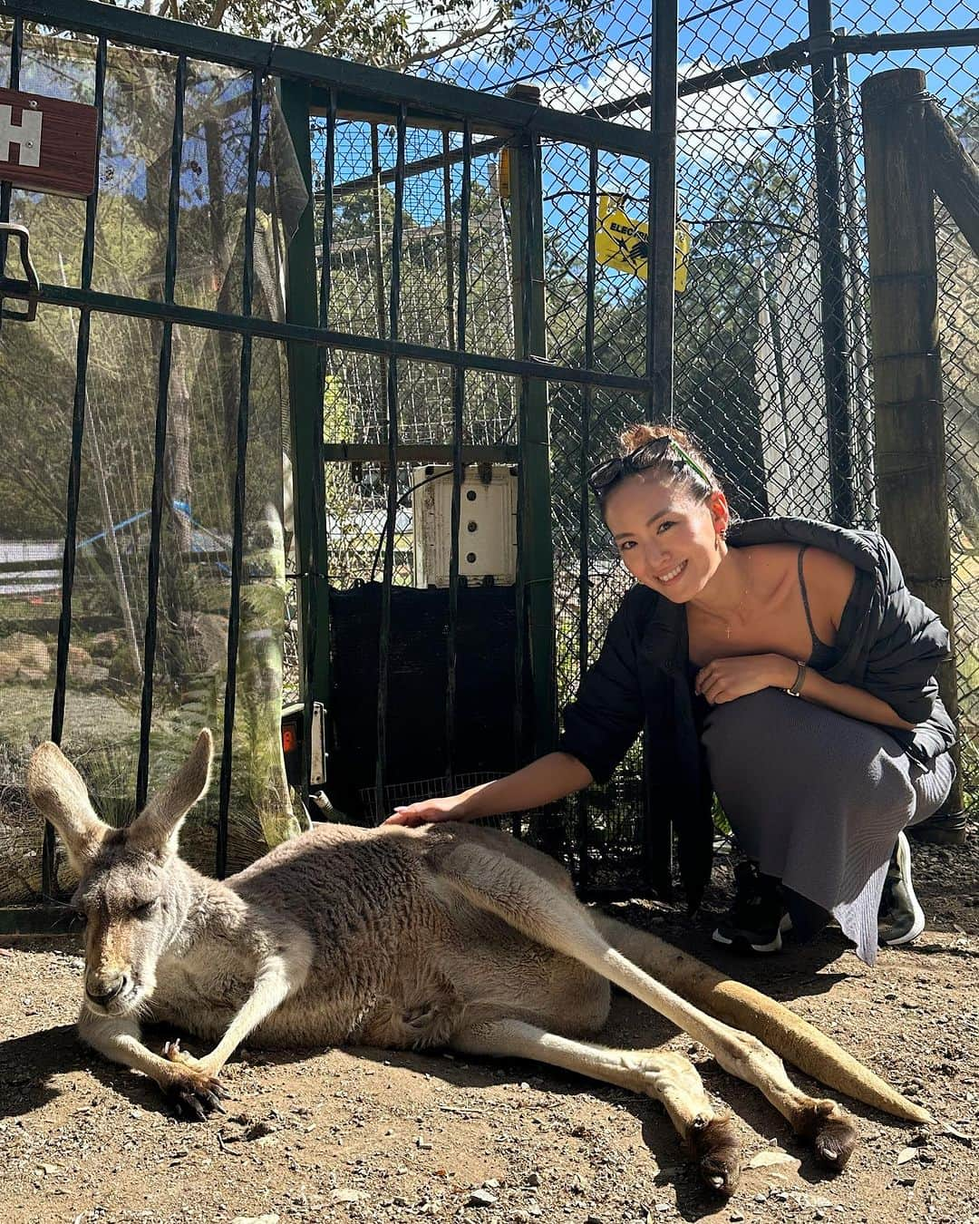 西内ひろさんのインスタグラム写真 - (西内ひろInstagram)「動物を見ると、愛犬ぽんず　@ponz_u0706  を思う気持ちと同じでキュンとして  母性本能くすぐられる🥺  #動物好き #カンガルー #母性本能」8月1日 15時14分 - 0214hiro