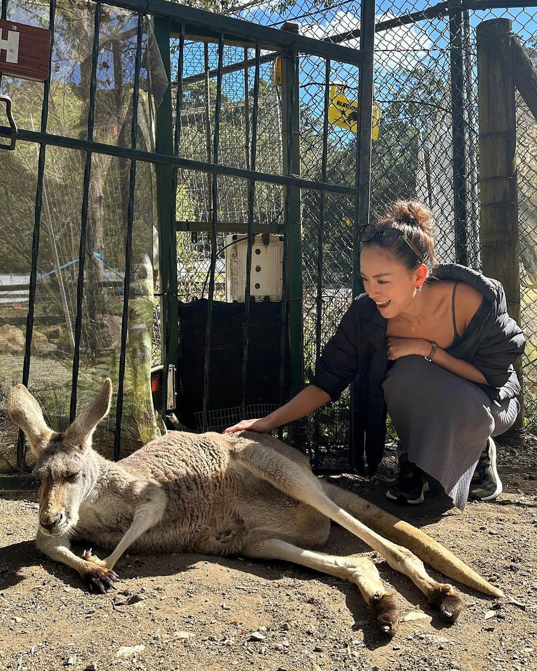 西内ひろさんのインスタグラム写真 - (西内ひろInstagram)「動物を見ると、愛犬ぽんず　@ponz_u0706  を思う気持ちと同じでキュンとして  母性本能くすぐられる🥺  #動物好き #カンガルー #母性本能」8月1日 15時14分 - 0214hiro