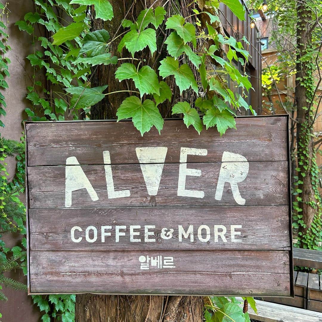 Areum Jungさんのインスタグラム写真 - (Areum JungInstagram)「Awesome Place @alver_coffee !!  강남 알베르까페.   크고 !! 푸르고 !!좋다.  사진은 누가봐도 그 샌드위치 니꺼 아니지?느낌.  어그래 나영이꺼야   그러나 커피 너무나 내 스타일❤️  #까페알베르 #알베르강남 #나영이꺼」8月1日 16時25分 - areumjung