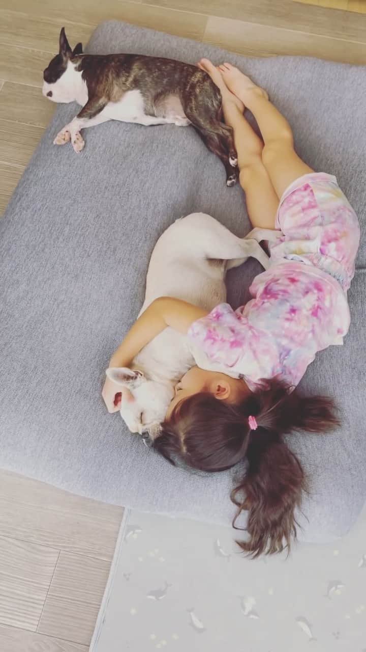 PECO いぬ部のインスタグラム