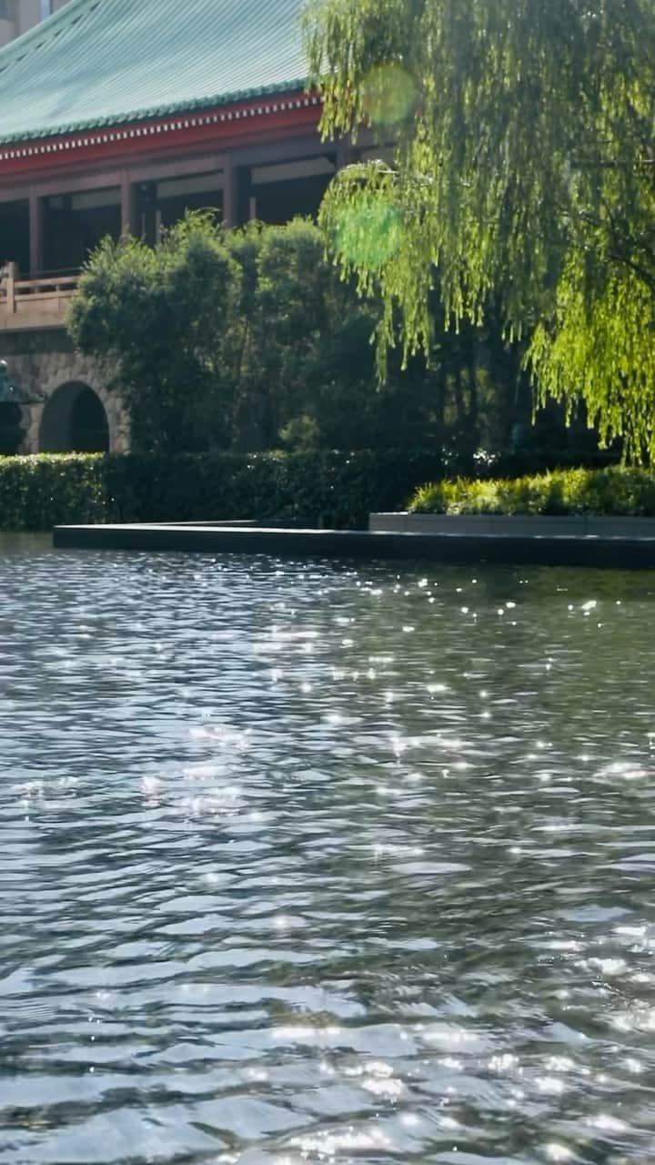 のインスタグラム：「a sparkling water surface of Okura Square in summer✨☀️ 夏の日差しに煌めくオークラスクエア⛲️✨  #エントランス #ラグジュアリーホテル #theokuratokyo #オークラ東京  #tokyohotel #luxuryhotel #lhwtraveler #东京 #酒店 #도쿄 #호텔 #일본 #ญี่ปุ่น #โตเกียว #โรงแรม」