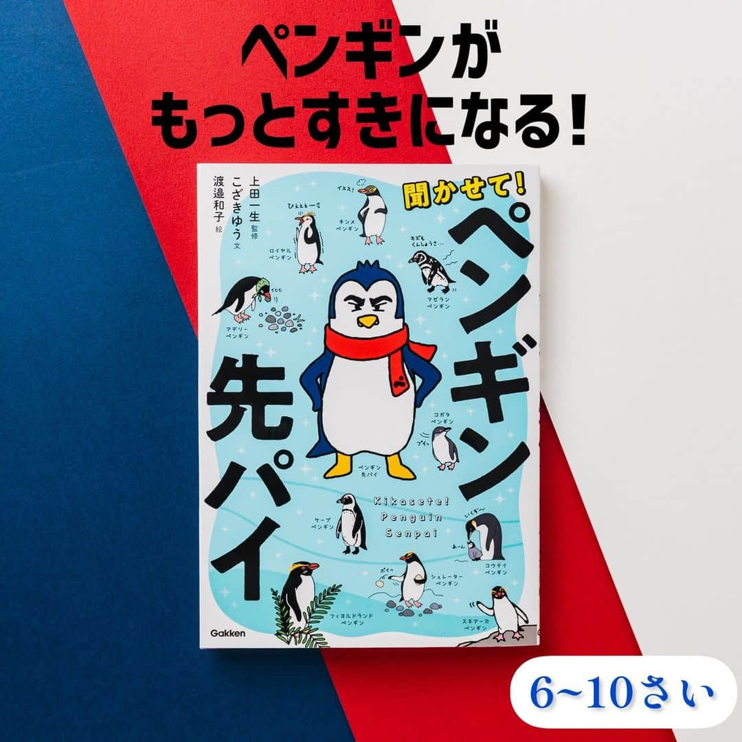 学研ゼミ【公式】のインスタグラム：「なかまをガケからつき落とすやつがいる！？ フンはお宝になるやつがいる！？ 世界のペンギン全18種を徹底解説！ ペンギンたちのこと、もっと聞かせて！ペンギン先パイ  年齢・性別を問わず多くの人々に愛されている #ペンギン でも、知られているのは動物園などにいる 一部の種ばかり… そこで、児童書史上初！ 世界のペンギン全１８種すべてを丁寧に紹介する 『聞かせて！ペンギン先パイ』が登場！  ペンギンたちの解説はすべて謎のペンギン、 ペンギン先パイが担当！ 実はまだまだ謎だらけのペンギンたちの生活も、 ペン生経験豊富なペンギン先パイだからこそ知っている！ 面白くて意外なペンギン情報が満載です！  ペンギン先パイによる各種の解説は 「図鑑パート」「生態パート」のわかりやすい２部構成！ 図鑑パートでは外見の特徴や 大きさ情報、名前の由来など、 そのペンギンの基本的な情報を載せています。 生体パートでは、例えば #コウテイペンギン では 「ビンタの威力は格闘家以上！？」 「ペンギンなのにミルクを出す」など、 少しマニアックだけど驚きいっぱいの生態や、 人間との関係性を紹介します。 ペンギン先パイのわかりやすい解説と、 リアルでありながらとてもかわいい ペンギンたちのイラストにも注目です！  さらに、ペンギン好きなら誰もがあこがれる 「もしも」の実現方法も紹介！ もしもコラムでは、「もしもペンギンを飼うなら」 「もしもペンギンと関わる仕事がしたいなら」などなど、 ペンギン好きが一度は考えたことのある 「もしも」についても徹底解説しています！  監修は #上田一生 先生！ 国内外の多くの #動物園・ #水族館 で 展示の監修もされている、 日本のペンギン研究第一人者です！ 豊富な知識とご経験を基に、 内容をしっかりとチェックしていただきました！  本書には、とてもかわいいとはいえない ペンギンたちの生態や、 これまでのペンギンたちへのイメージとは 全く違う事実が多数登場します。 でも、読み終わった時にはこれまで以上に ペンギンたちへの理解が深まり、 これまで以上にペンギンたちのことが 大好きになること間違いなしです 全ての漢字にふりがながついていて、 大人も子供も楽しめます。  『 #聞かせてペンギン先パイ』 おすすめの年齢：６歳～１０歳 #Gakken #学研の絵本 #絵本 @gakken_ehon」