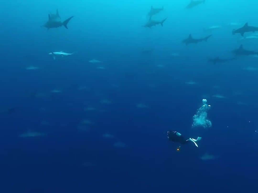 GoProのインスタグラム
