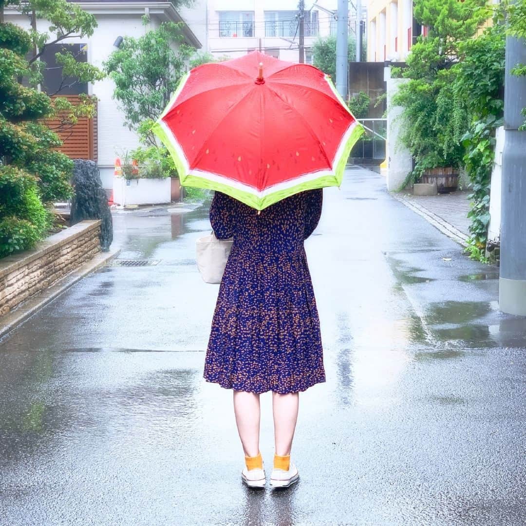 minneさんのインスタグラム写真 - (minneInstagram)「手書き風スイカの日傘  青空の下で赤と緑が映える、手書き風のスイカをプリントした日傘。 防水加工も施されているため、少しの雨であれば雨傘としても活躍してくれます。  まだまだ紫外線が気になる季節。可愛くUVケアをしながら夏のお出かけを楽しみませんか？  ▶️詳細は @minne_official のプロフィールリンクから  ＊ーーーーー  🏠たまには どこかへさん（ @tamaniha.dokokahe ） 「女子会やデート、家族でお出かけの時などに。たまには花見をしよう、たまには海行こう、今年は花火を見に行こう、そんな時に身に付けることで、気持ちが少しでも華やげばと思い制作しております。」 https://minne.com/odawara-y  ＊ーーーーー  🔍スイカな日傘 https://minne.com/items/19377042  #傘 #日傘 #長傘 #晴雨兼用 #スイカ #フルーツモチーフ #夏 #手書き風 #日差し対策 #日除け #UV加工 #防水加工 #fashion #ファッション #ファッションアイテム」8月1日 18時30分 - minne_official