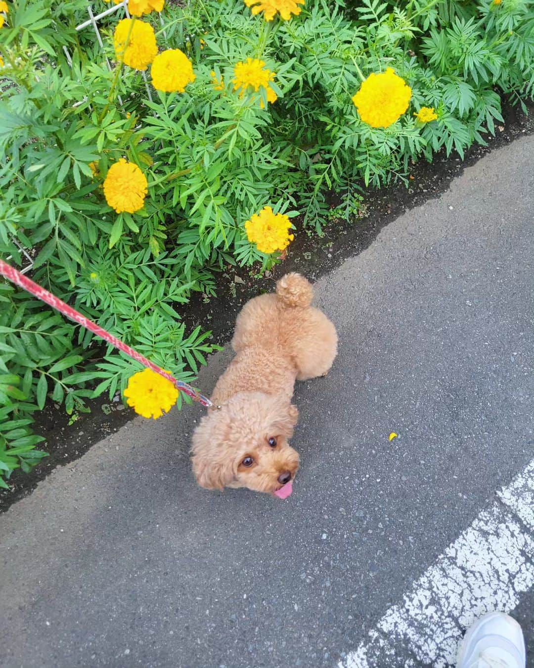 山崎萌香のインスタグラム