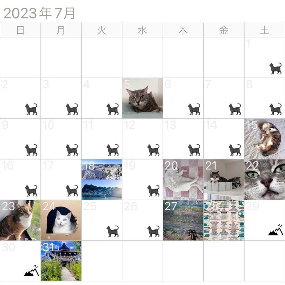 のインスタグラム：「7️⃣🗓🐱🐱🐱⛰️🎵💤 * * #cat #catstagram #catsofinstagram #catoftheday #instacat #marikill66 #marikill66_2023 #marikill66_07 #2023年7月」