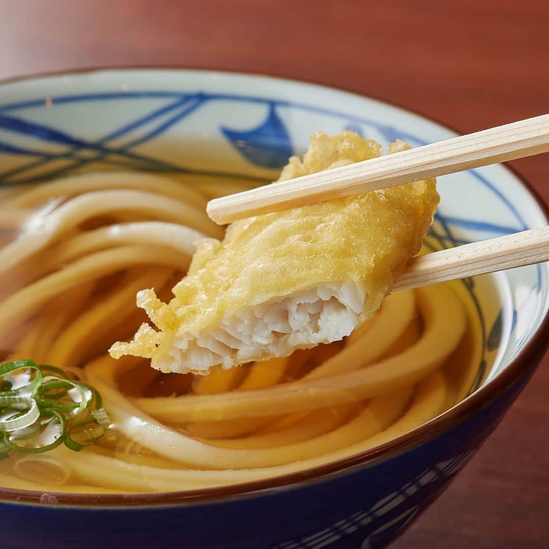 丸亀製麺さんのインスタグラム写真 - (丸亀製麺Instagram)「食べてみたい期間限定天ぷらをコメントで教えてください👀  今月も旬の味わいが楽しめる季節限定天ぷらが登場！ ラインナップはこちら👇  🥢柔らかくみずみずしい、さぬきのめざめを使った #アスパラ天 🥢そのまま食べてよし、だしソースで2度おいしい #ハムカツ 🥢ふっくらした食感とあっさりとした味わいで食べやすい #かれい天   この機会にぜひお試しください😋  ※一部取扱のない店舗がございます。 ※アスパラ（さぬきのめざめ）は東京・千葉・埼玉・茨城県内の一部店舗でのお取り扱いとなります。  #丸亀製麺 #丸亀うどん #udon #麺 #うどん #天ぷら」8月1日 21時00分 - marugame_