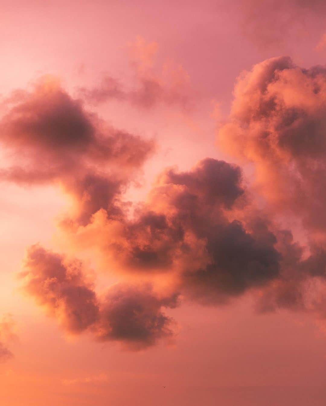 リリー＝ローズ・メロディさんのインスタグラム写真 - (リリー＝ローズ・メロディInstagram)「Sunsets appreciation post ✨」8月1日 21時09分 - lilyrose
