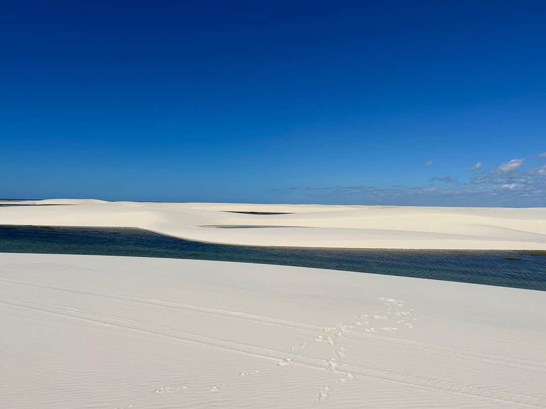 TBS「世界ふしぎ発見！」さんのインスタグラム写真 - (TBS「世界ふしぎ発見！」Instagram)「純白の砂丘に現れた無数の湖！？👀💥 ここはブラジルのレンソイス国立公園🇧🇷 どこまでも広がる白い砂丘は まるで波のよう…！🌊🌊🌊  普段は海上の波に乗る平原颯馬さん、 カイトサーフィンに初挑戦✨  果たして…砂丘の風に 乗ることはできるか！？🏄‍♂️🔥  #ブラジル #ネイチャーミステリー #ふしぎ発見 @soma_hirahara」8月1日 21時12分 - fushigi_hakkenad