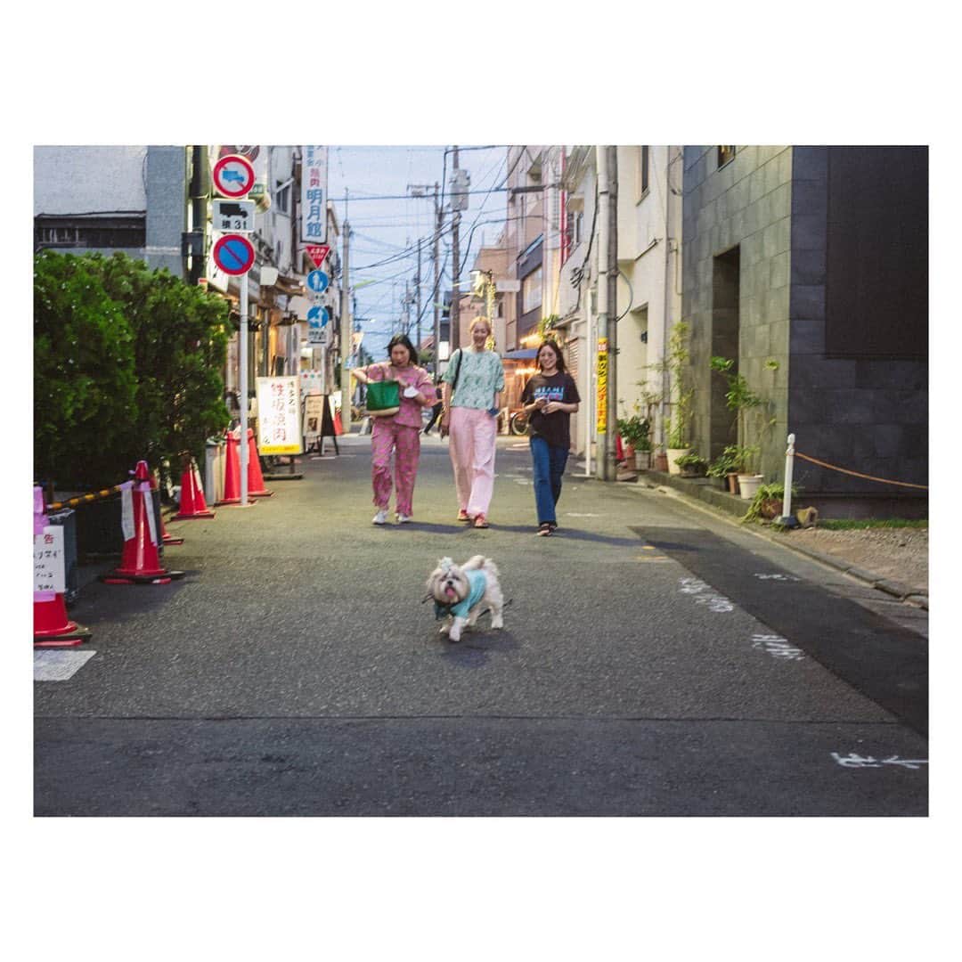 のインスタグラム：「🍑 わたしたちのアイドルうどんちゃんに会えたり🐶、 うなりまくりの、っんまいイタリアン食べれたり🍝、 与作のズンバ見れたり🕺、 いい日でしかなかったなあ〜  #うどんちゃんwithちゃーりーずえんじぇる」