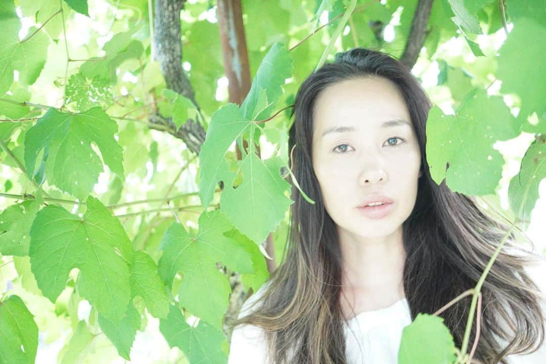 片山瞳のインスタグラム：「Greenery Summer Leaves  毎日暑いけどみんながんばってね  #shooting  #portrait #photoshoot #photo #photography  #hitomikatayama #片山瞳」